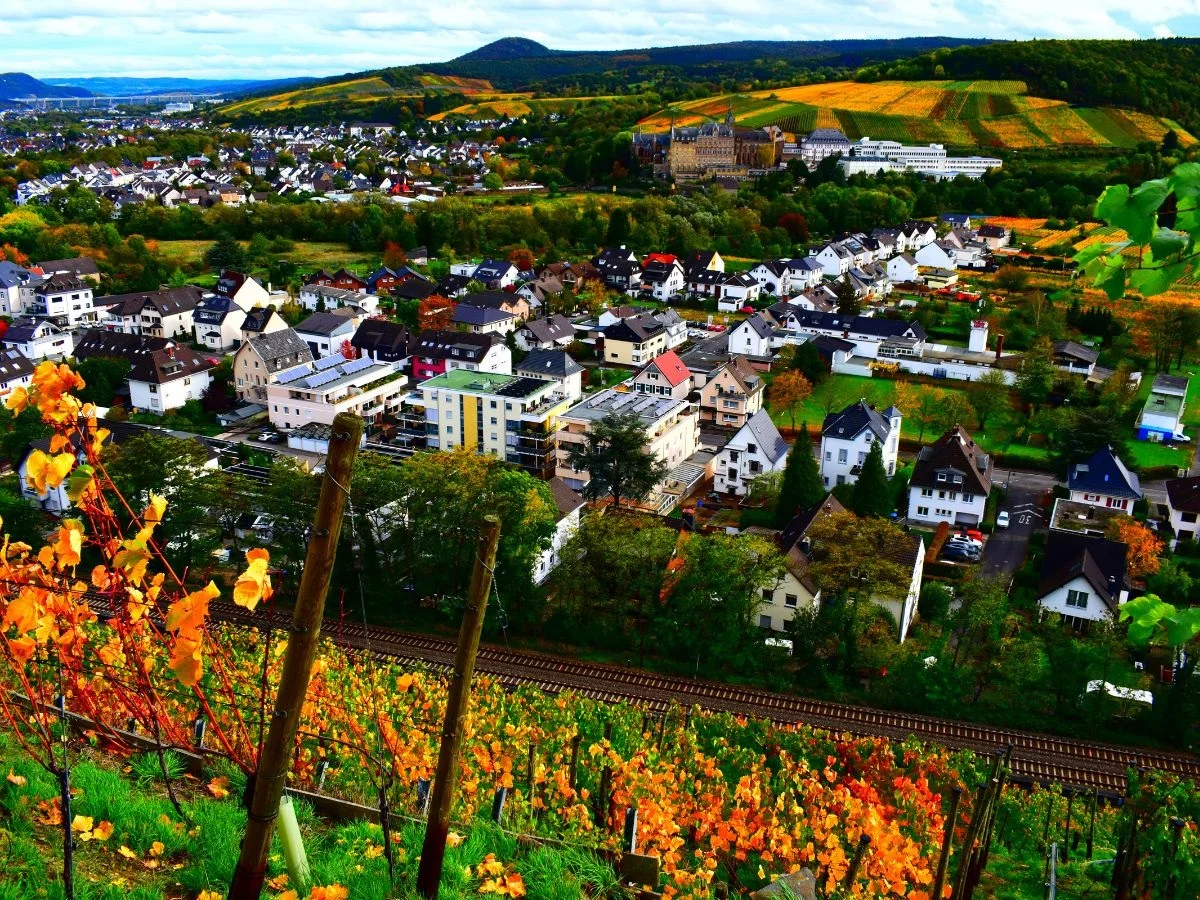 Ahrtal. Zwischen Steilhängen und Stillstand? Eine Region im Strukturwandel zwischen Tradition und Zukunft. Bild 2