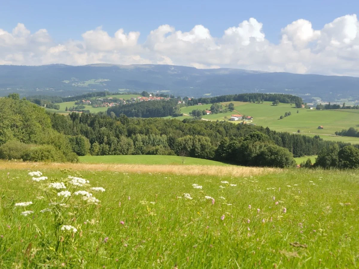 Bayerischer Wald. Auf dem Weg zum Urwald. Naturschutz im Nationalpark. Bild 1