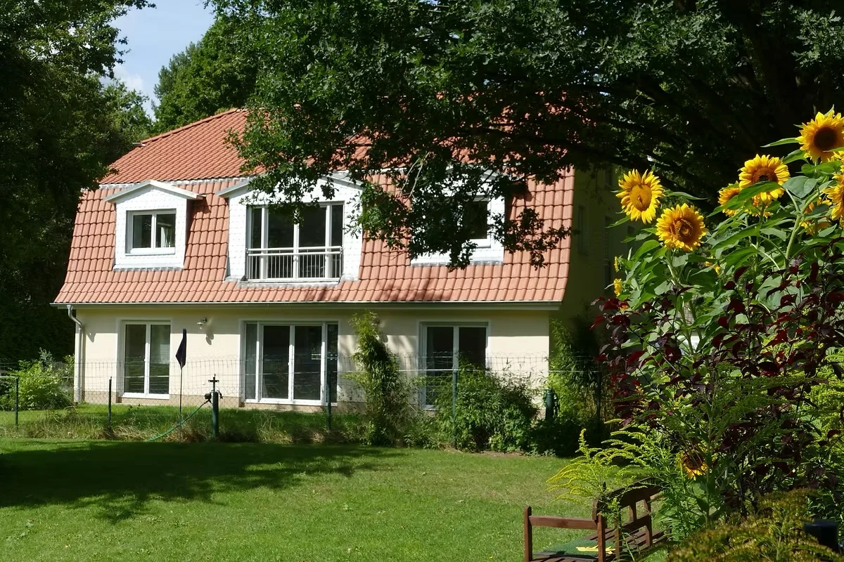 Resilienz und Stressreduktion im Grünen – Yoga & Waldbaden für Beruf und Alltag Bild 1