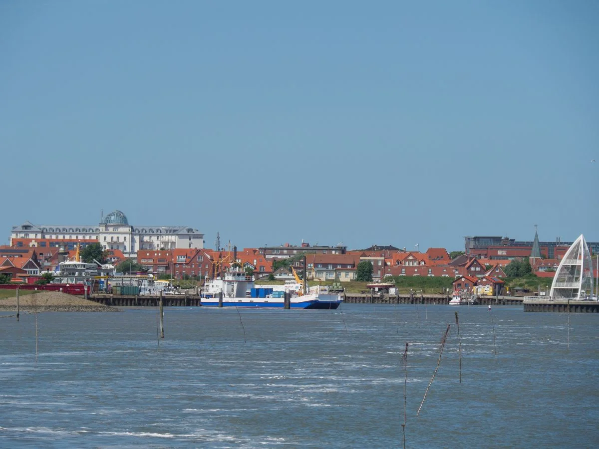 Wangerooge. Das Wattenmeer - Lebensraum im Spannungsfeld. Bild 2