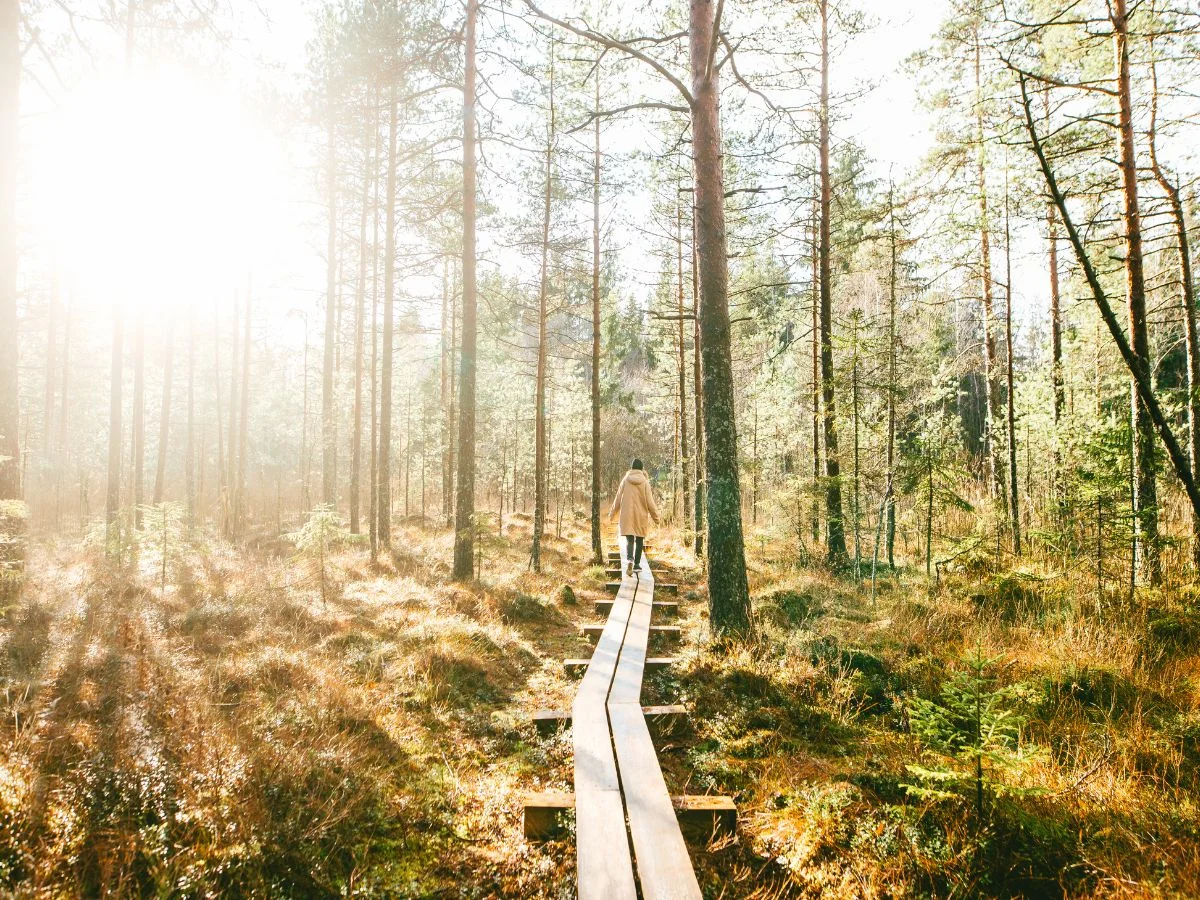 Ostallgäu - Leistungsfähigkeit erhalten: Ganzheitliche Stressbewältigung mit Bewegung in der Natur als Energiequellen für den beruflichen Erfolg. Bild 1