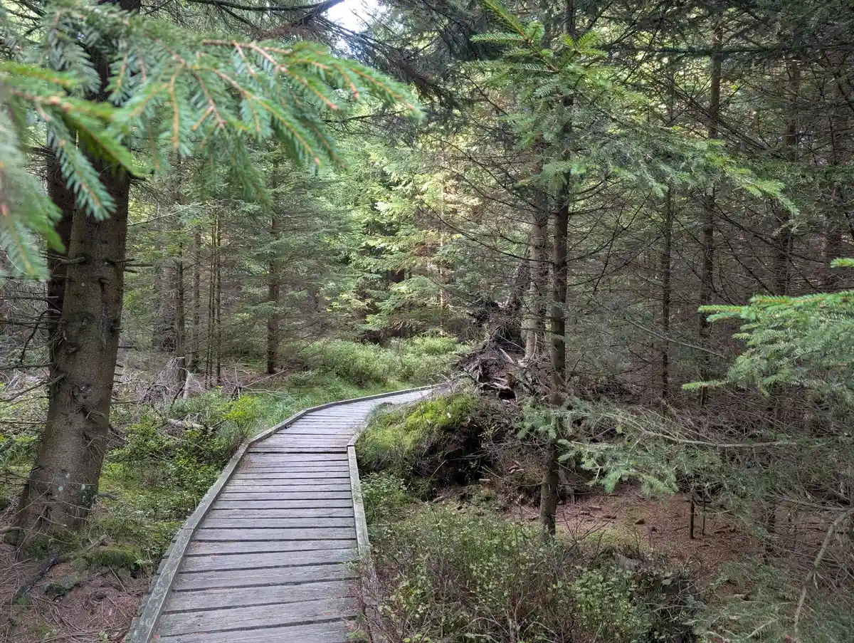 Der Harz - Vom Industriegebiet zum Nationalpark – auch eine Zeitreise Bild 2