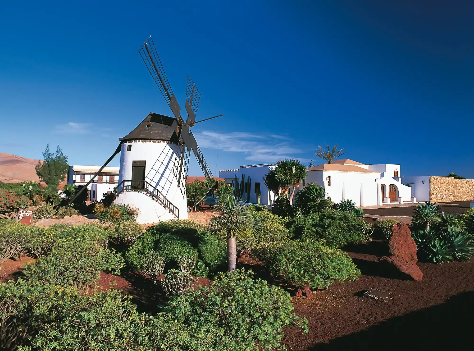 Fuerteventura - eine Insel am Rande Europas zwischen Tourismus, Nachhaltigkeit und Ressourcen Bild 2