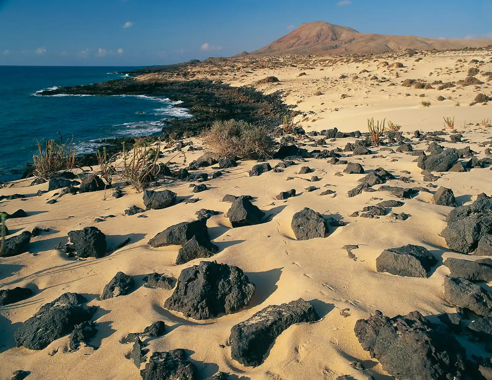 Fuerteventura - eine Insel am Rande Europas zwischen Tourismus, Nachhaltigkeit und Ressourcen Bild 1
