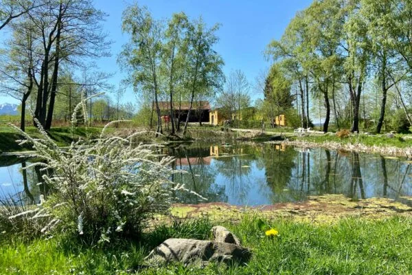 Ayurveda & Yoga zur Stressbewältigung im Naturhotel SEINZ Bild 2