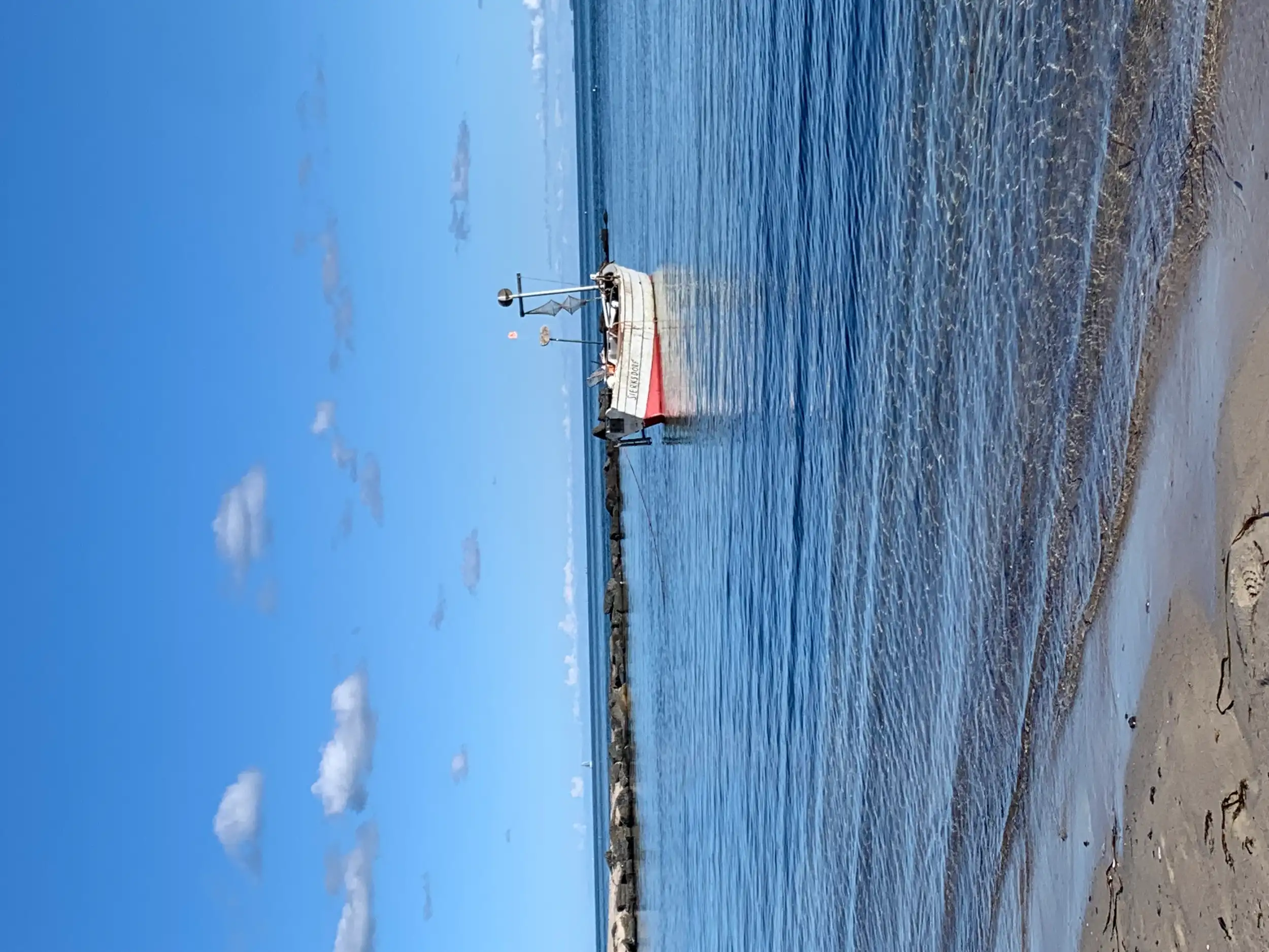 Bildungsurlaub  an der Ostsee - Wenn Gelassenheit Wurzel schlägt Stressbewältigung durch Achtsamkeit für den (Berufs-) Alltag nach der MBSR Methode / Krankenkassenzuschuss möglich Bild 2