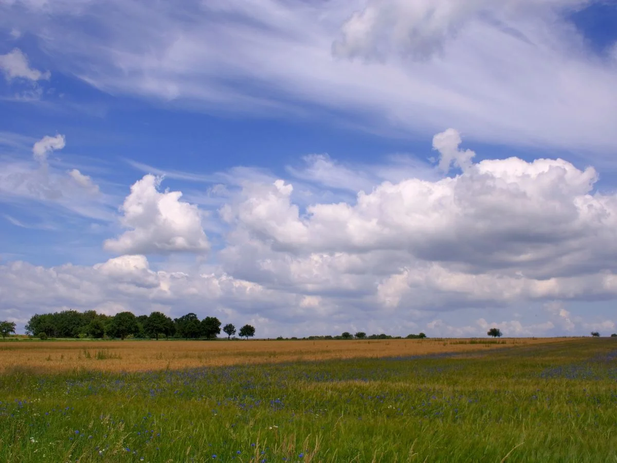 Wendland. Das Wendland, die Menschen und der Atommüll in Zeiten der kulturellen Landpartie. Bild 1