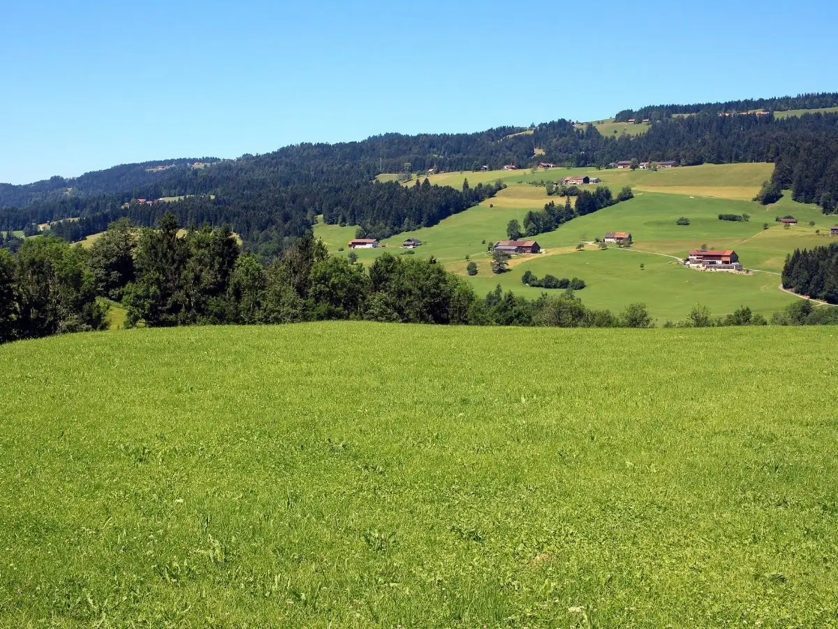 Allgäu. Welchen Wert hat die Natur? Nachhaltiger und wirtschaftlicher Umgang mit der Natur lokal und global verstehen. Bild 2