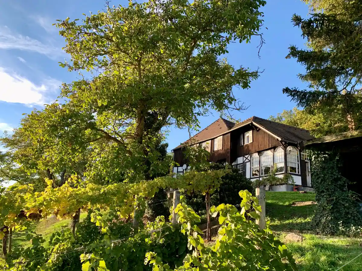 Erzählen und Spiel in der Pädagogik Bild 2