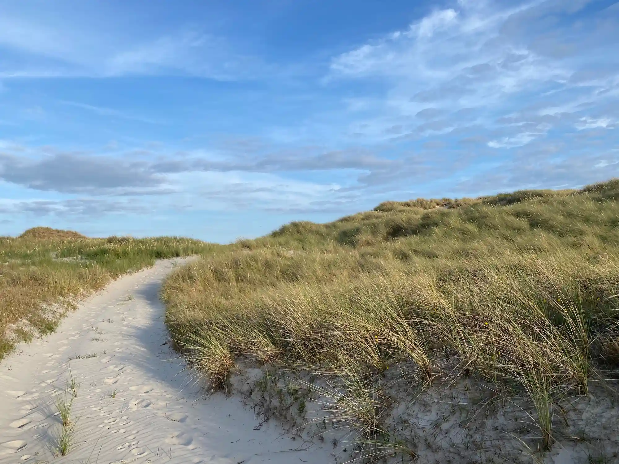 Amrum: Buchinger Fasten & Wandern: neue Kraft tanken und Stress reduzieren Bild 1
