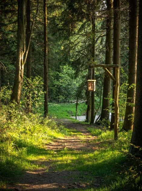 Buchinger Fasten & Spa im Erzgebirge Bild 2