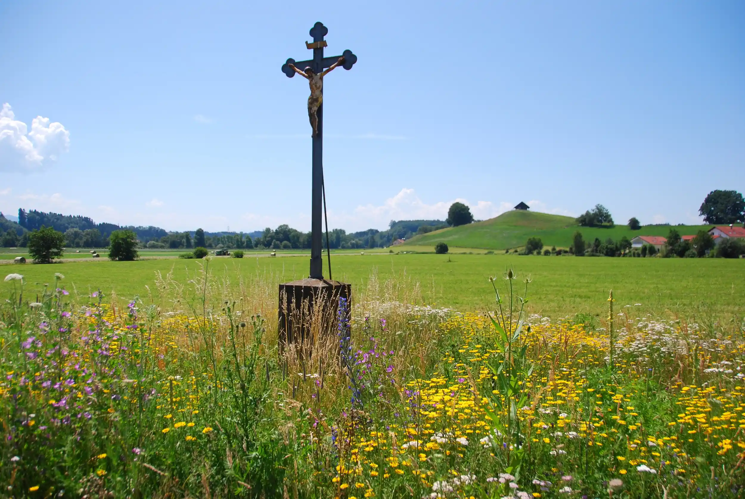 Das Oberschwäbische Allgäu – Entwicklung und Erhalt einer Kulturlandschaft zwischen Tradition und Zukunft Bild 2
