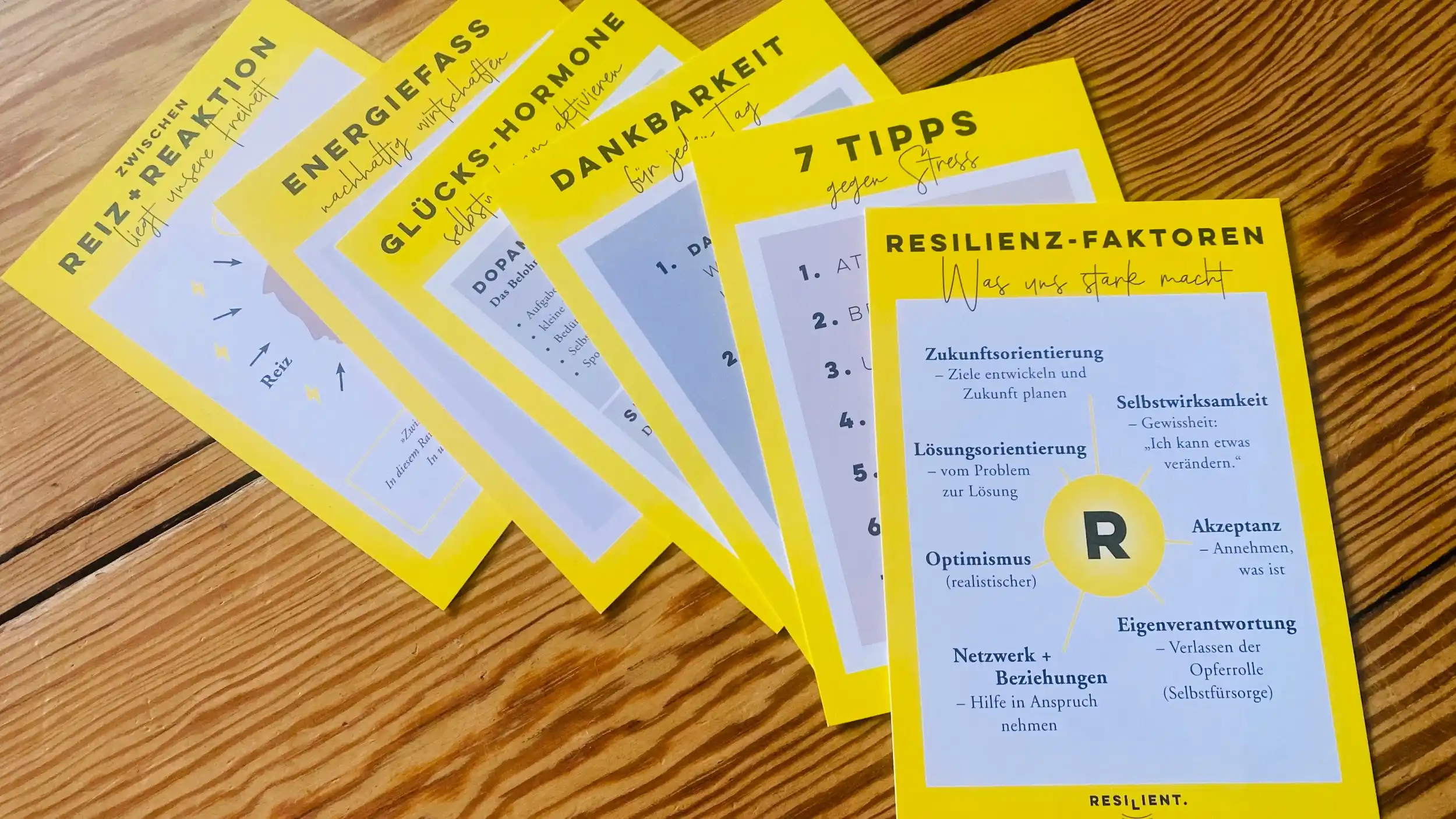 Weiterbildung Resilienz-Trainer*in 2027 auf Sylt Bild 2