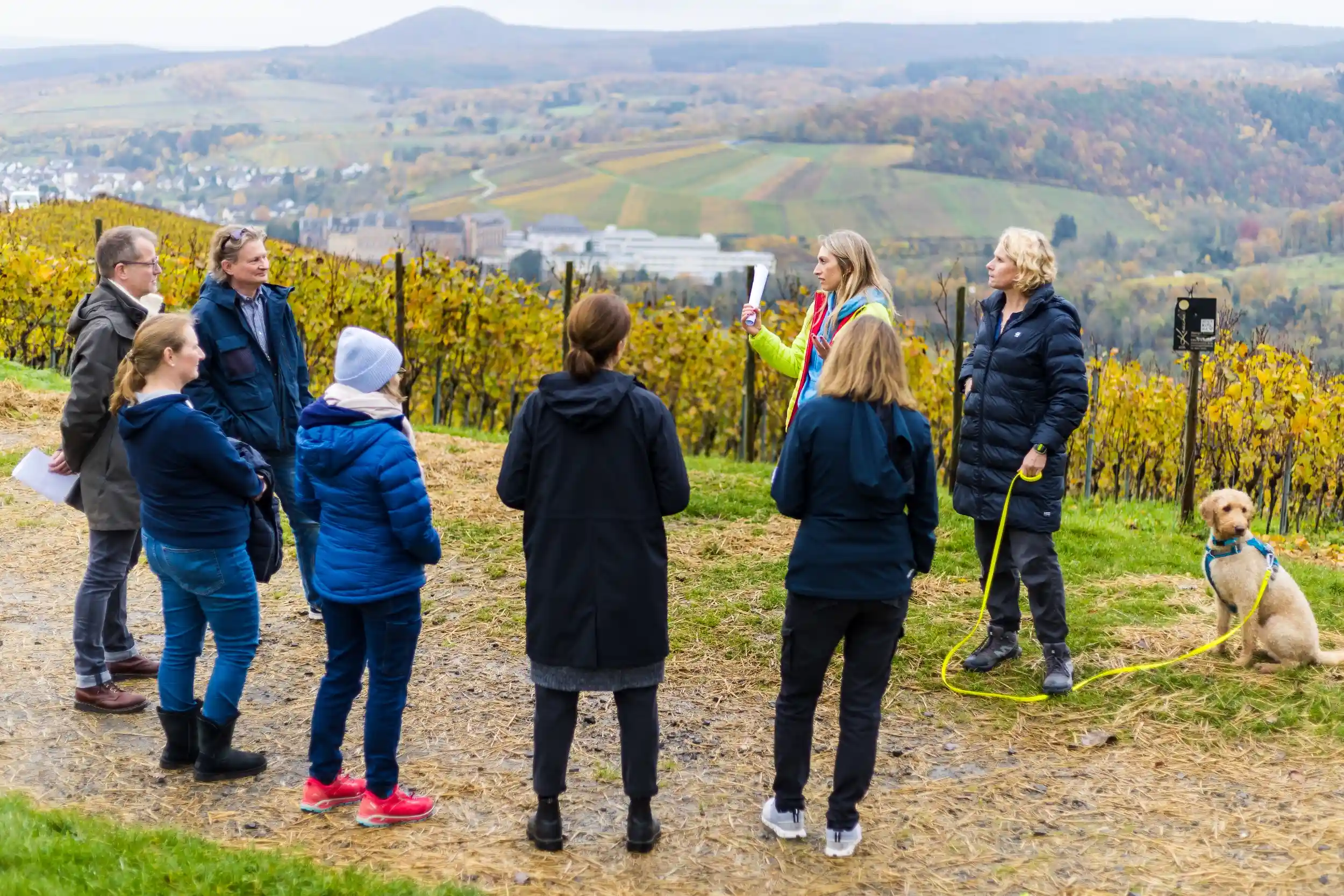 Fortbildung zum MENTAL LEADERSHIP COACH – Mentale Stärke entwickeln und professionell weitergeben Bild 1