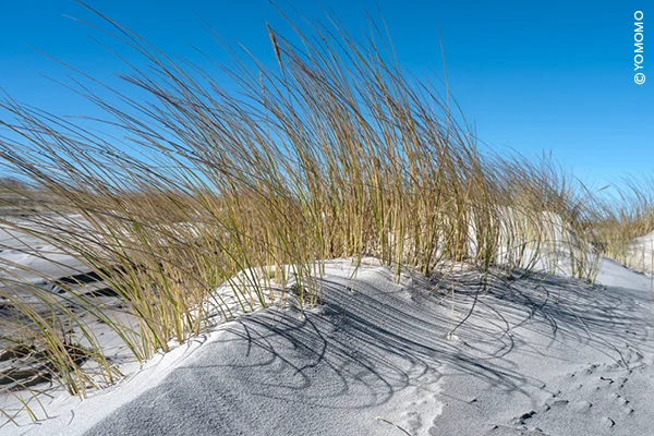Meer sehen: Bewusstes Wahrnehmen und kreative Fotografie – eine inspirierende Woche an der Ostsee Bild 2