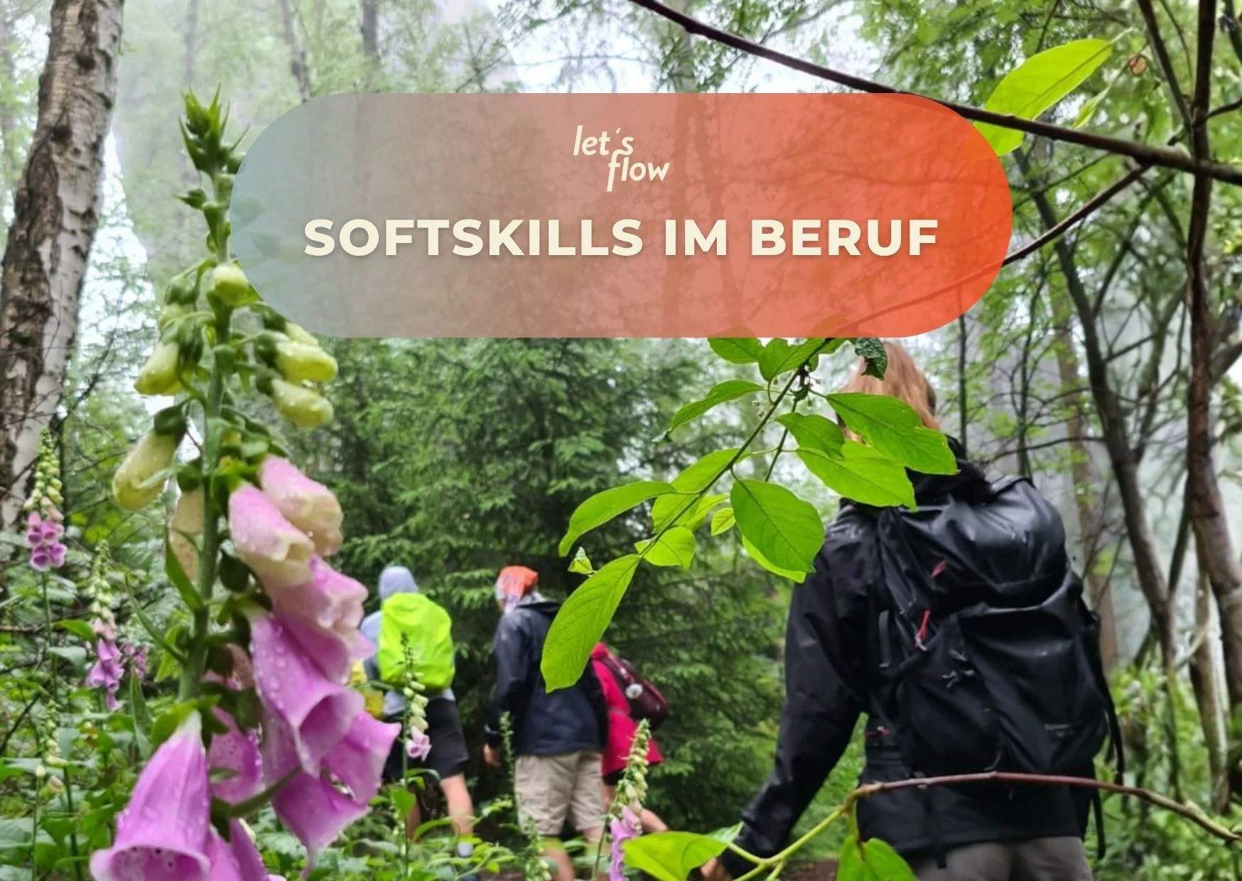 Wandern und Kommunikationsfähigkeit stärken in der Sächsische Schweiz (Margaretenhof) Bild 1