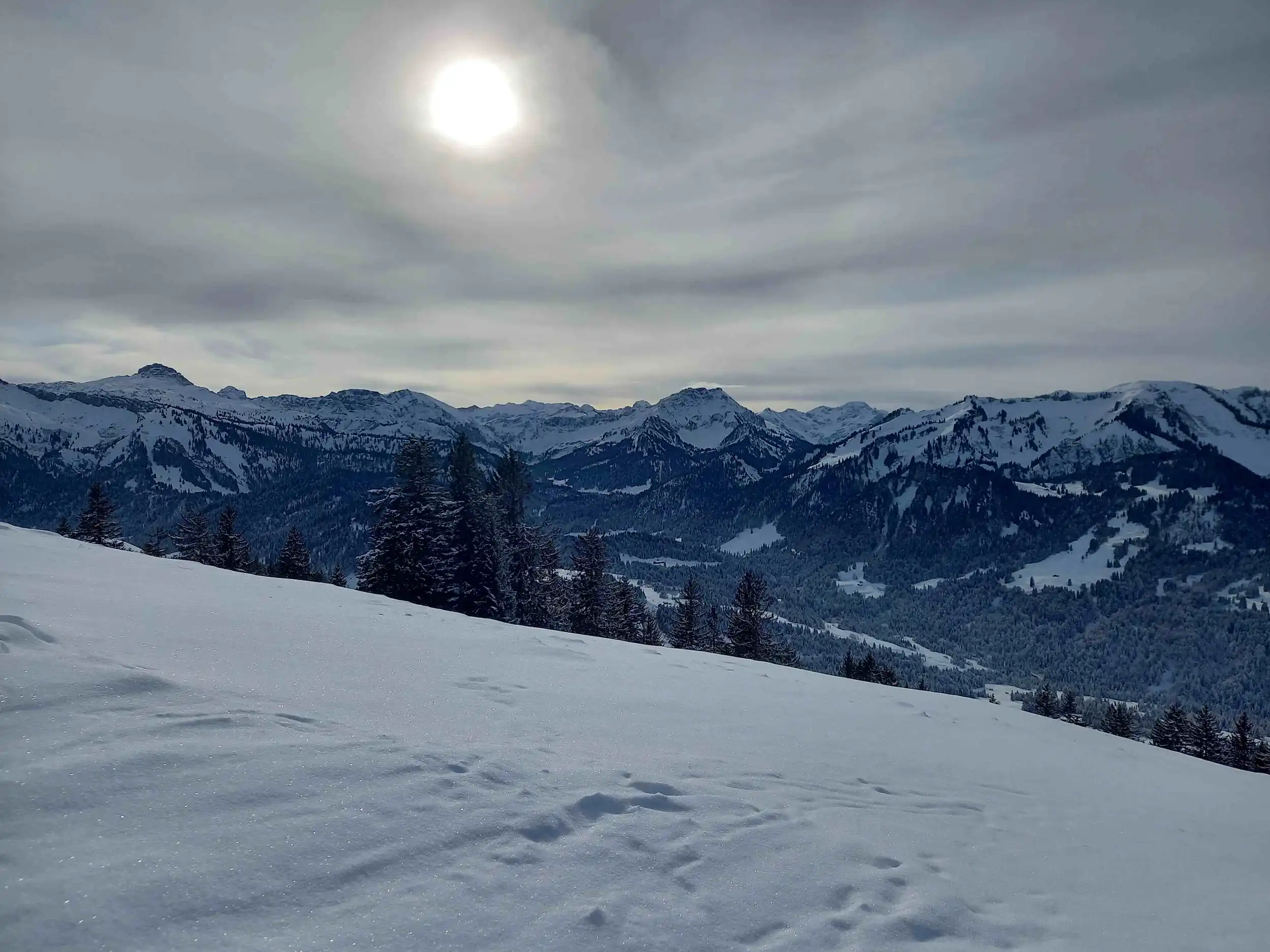 Modellregion Bregenzerwald – zukunftsfähiger Klima- und Naturschutz in Vorarlberg Bild 1