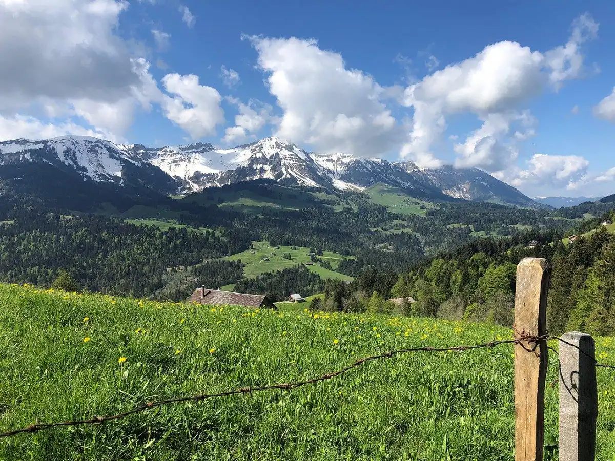 Klimaanpassungsregion Bregenzerwald – enkeltaugliche Strategien in den Alpen Bild 2