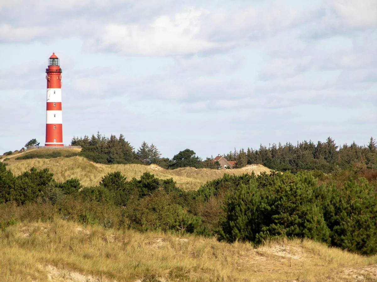 Amrum. Die Nordseeinsel im Konfliktfeld Mensch, Natur und Klimawandel. Bild 1
