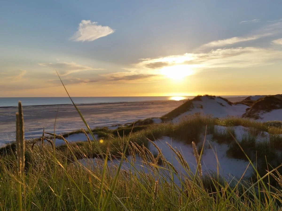 Amrum. Die Nordseeinsel im Konfliktfeld Mensch, Natur und Klimawandel. Bild 2