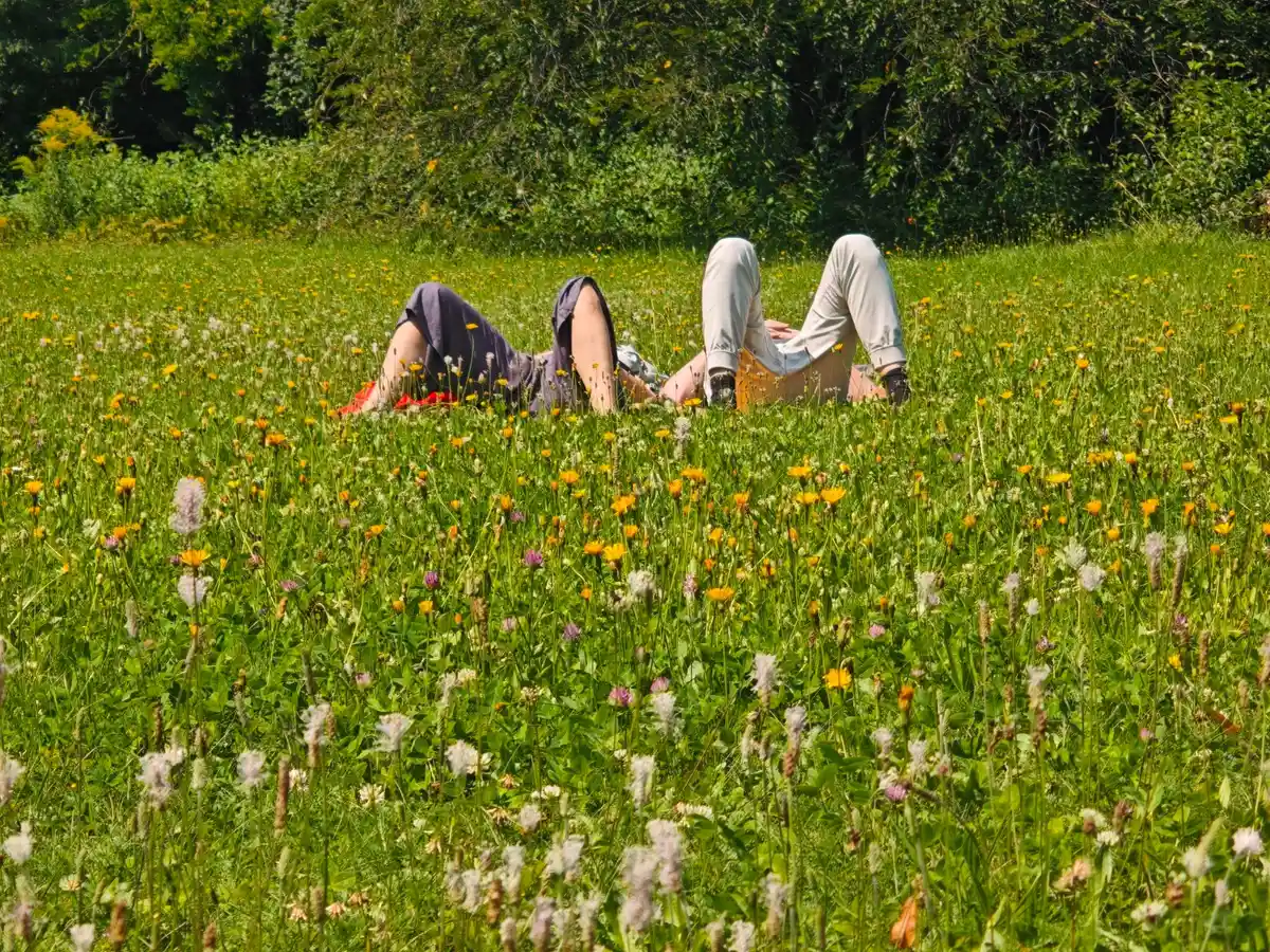 Innere Arbeit, Achtsamkeit, Yoga & Breathwork Bild 2