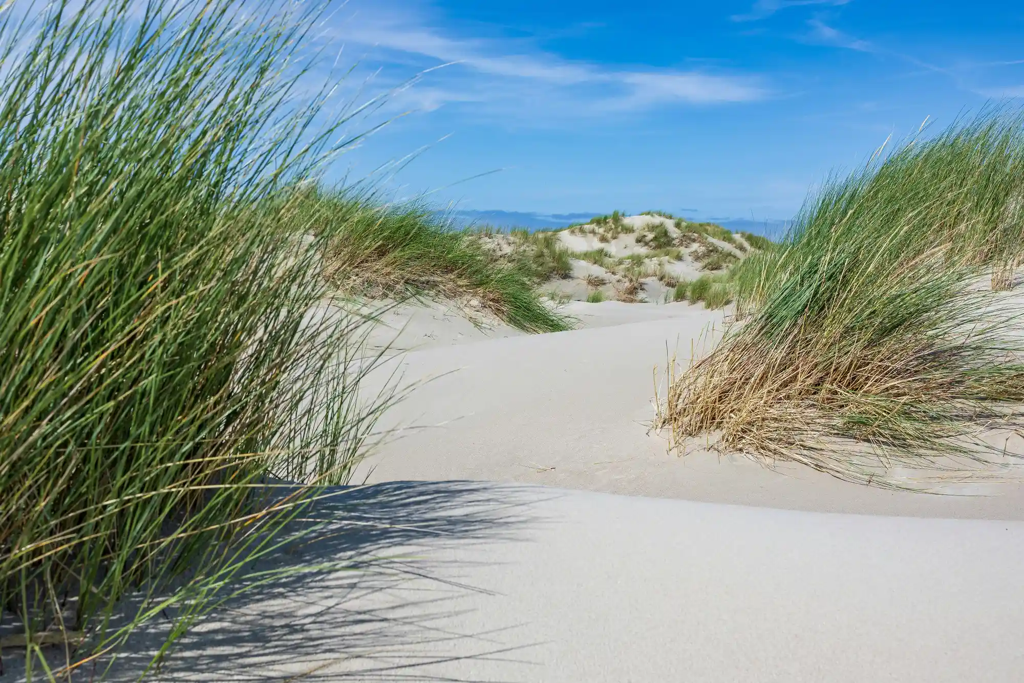 Laufend Kraft gewinnen auf Norderney  Bild 2