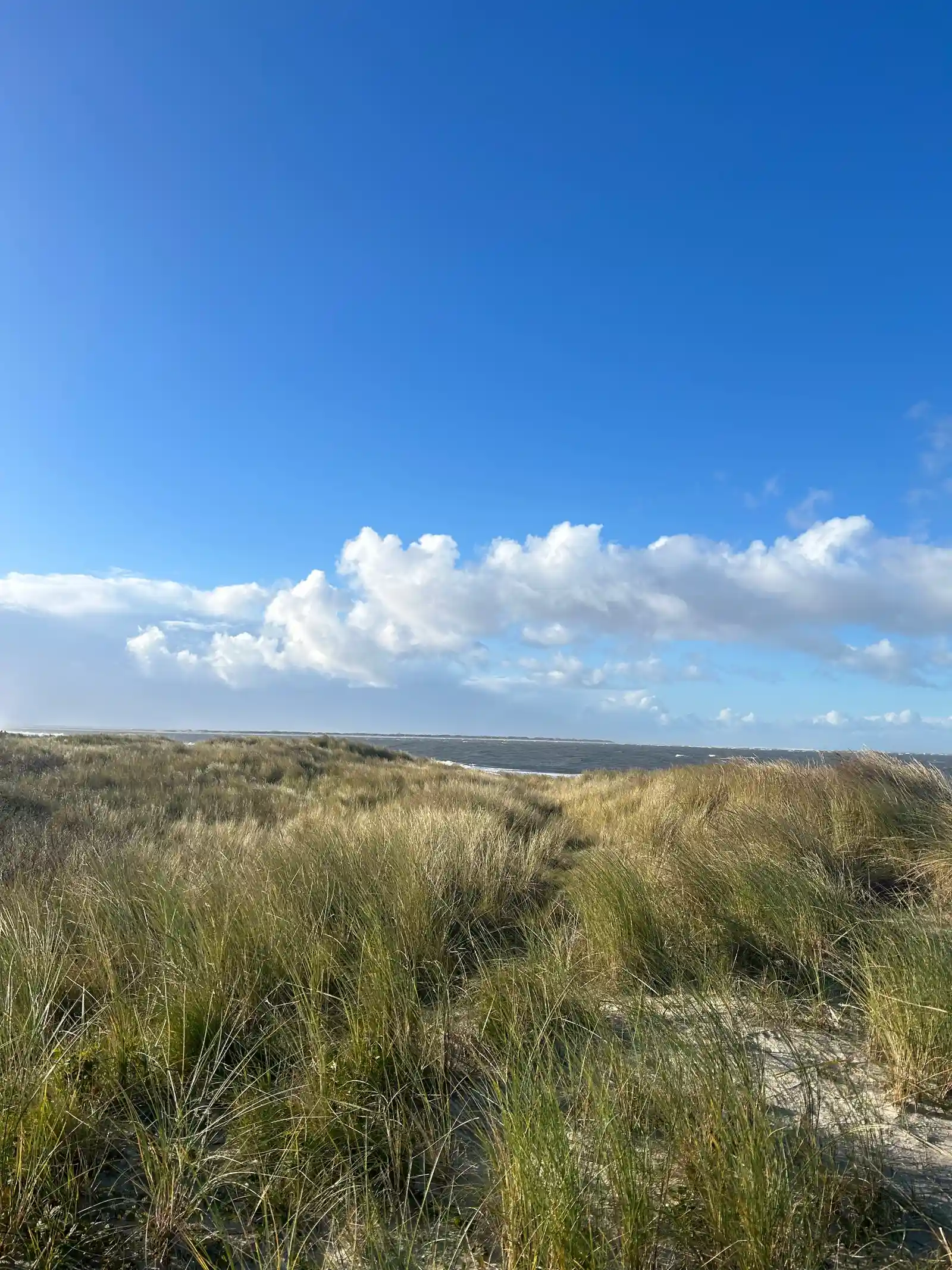 Laufend Kraft gewinnen auf Norderney  Bild 2