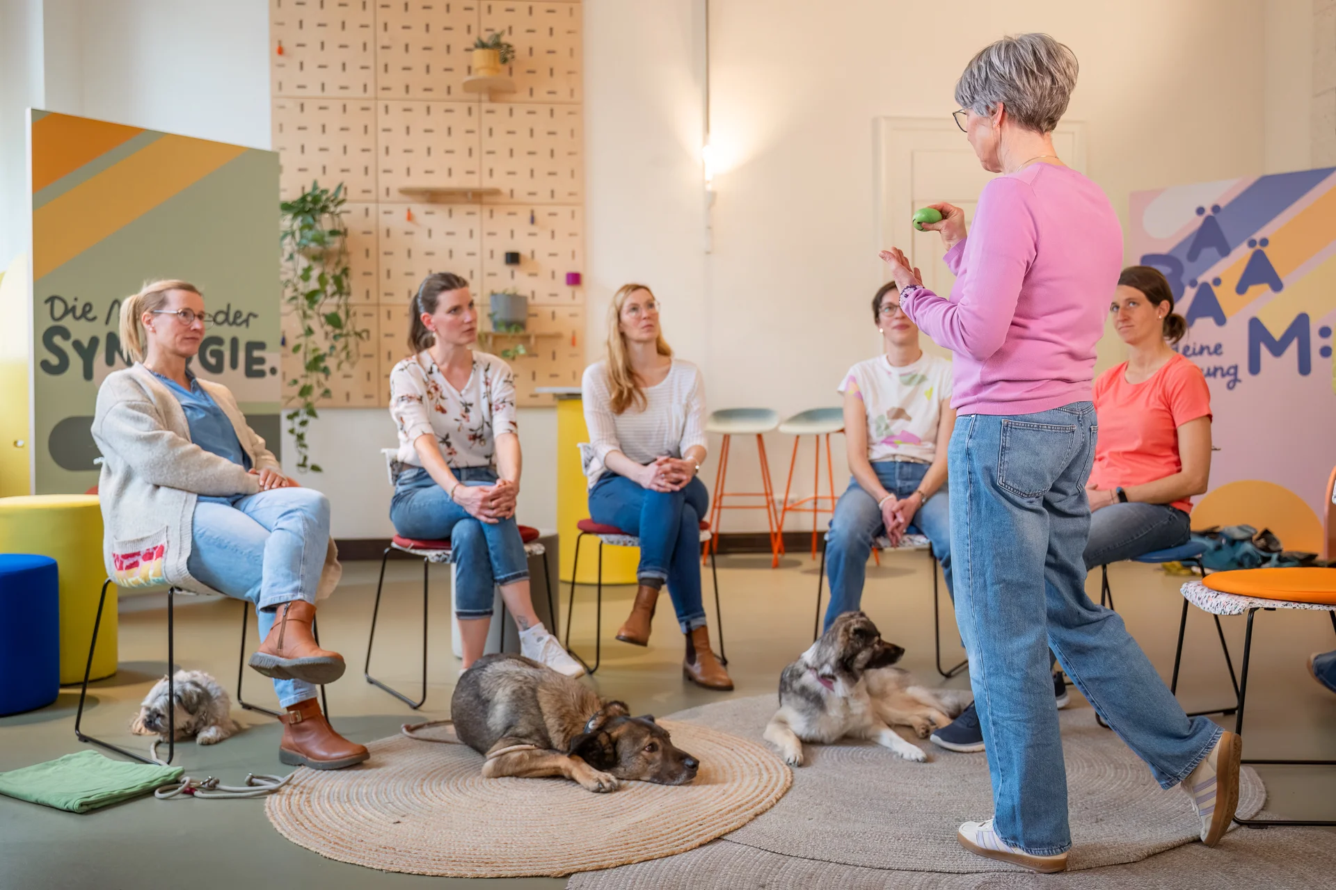 Resilienz & Positive Psychologie - Bildungsurlaub mit Hund Bild 1