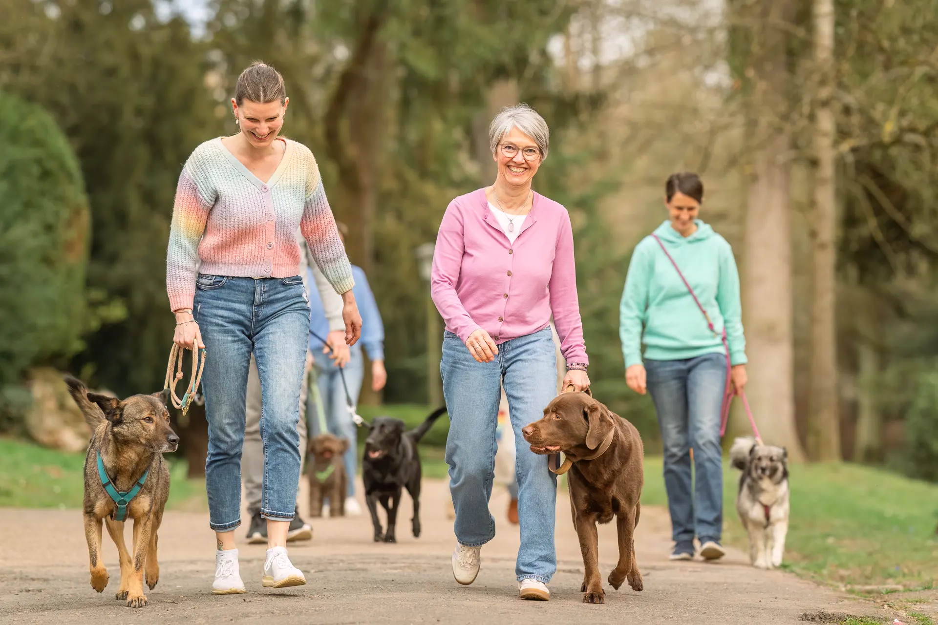 Resilienz & Positive Psychologie - Bildungsurlaub mit Hund Bild 2