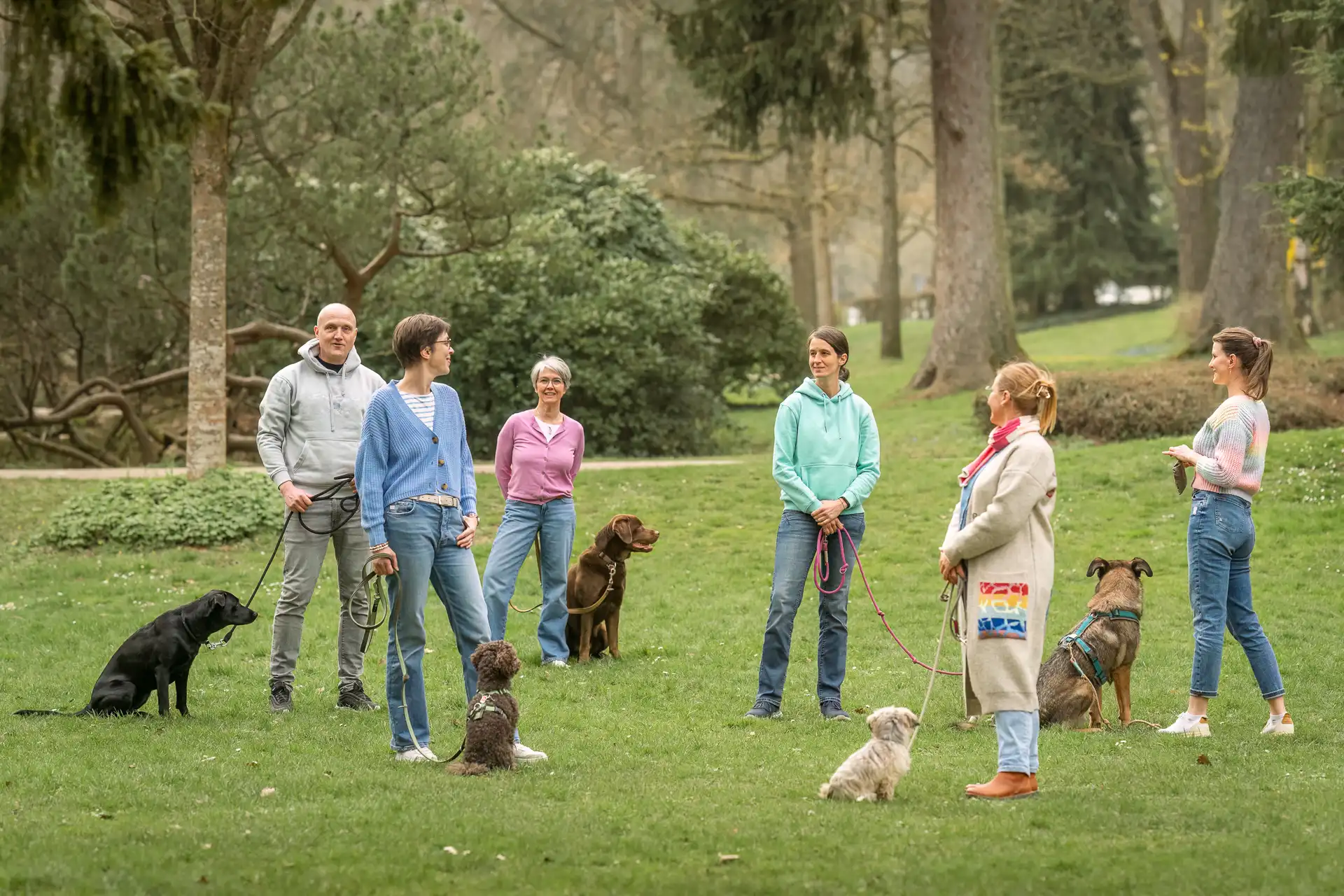 Führungskompetenzen stärken - Bildungsurlaub mit Hund Bild 1