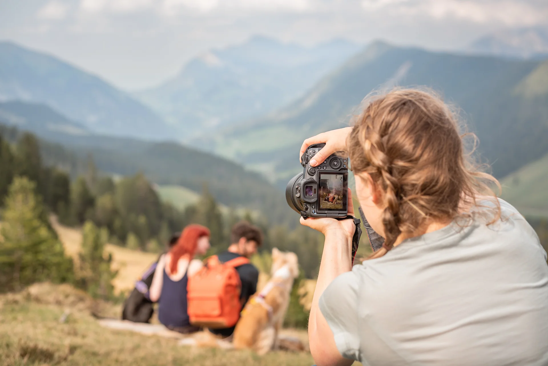 Hunde- und Naturfotografie mit professioneller Bildbearbeitung für Social Media & Marketing - Bildungsurlaub mit Hund Bild 1