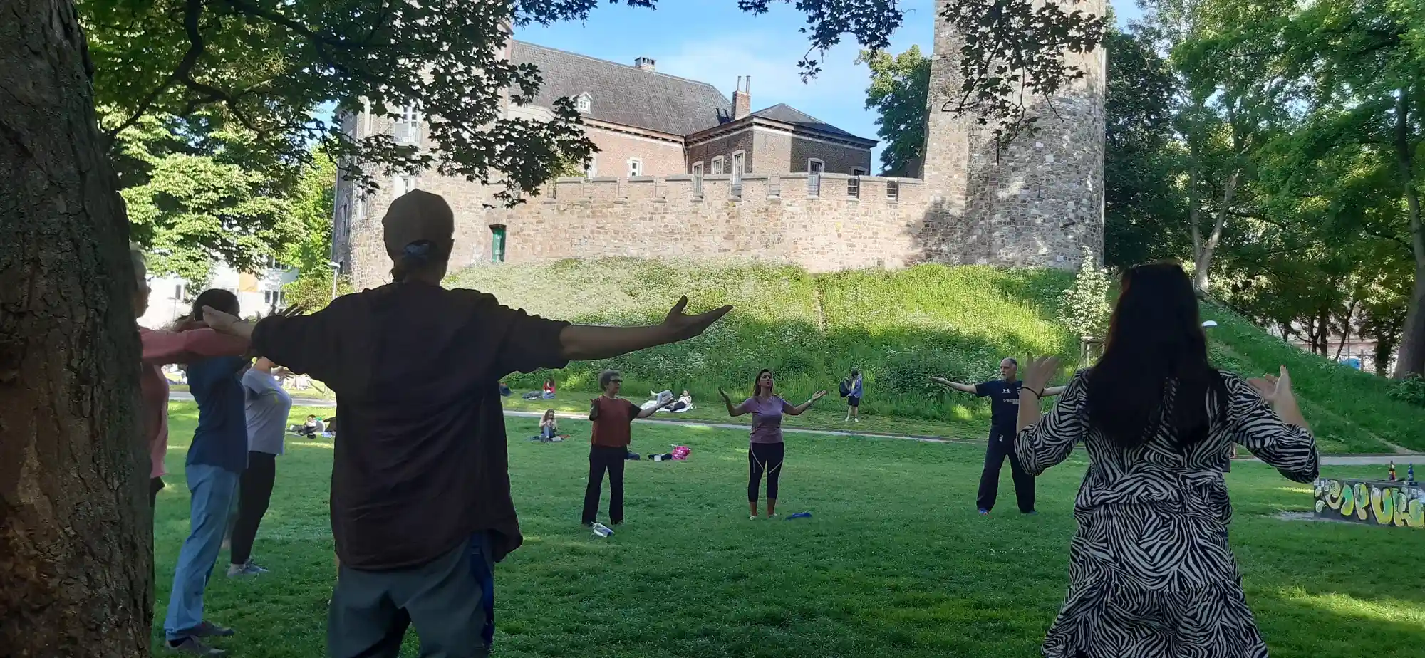 Gesundheitscoaching und Qigong- Systemischer beraten mit Methoden aus der TCM Bild 1
