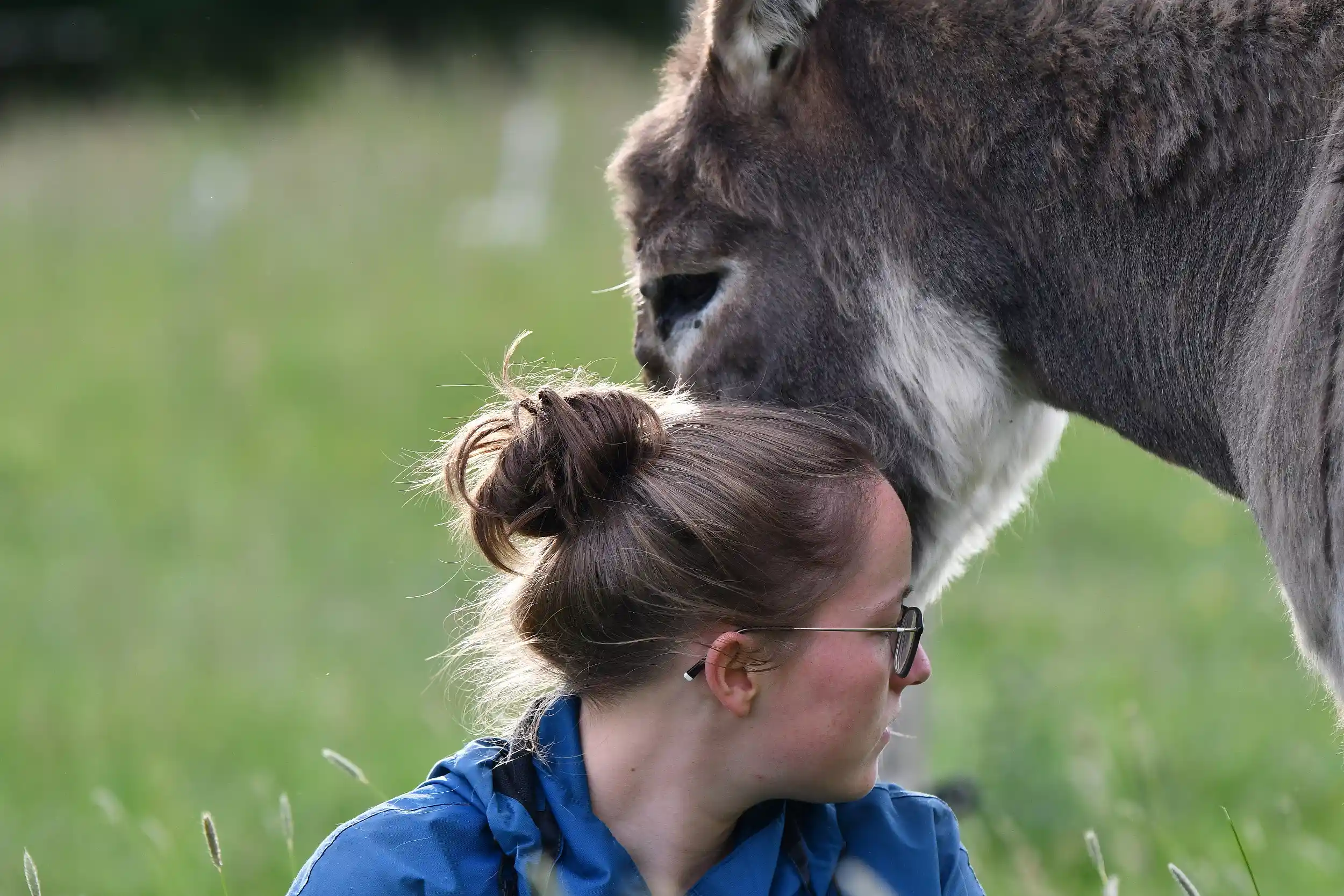 Auf Augenhöhe − Tierhaltung neu denken Bild 1