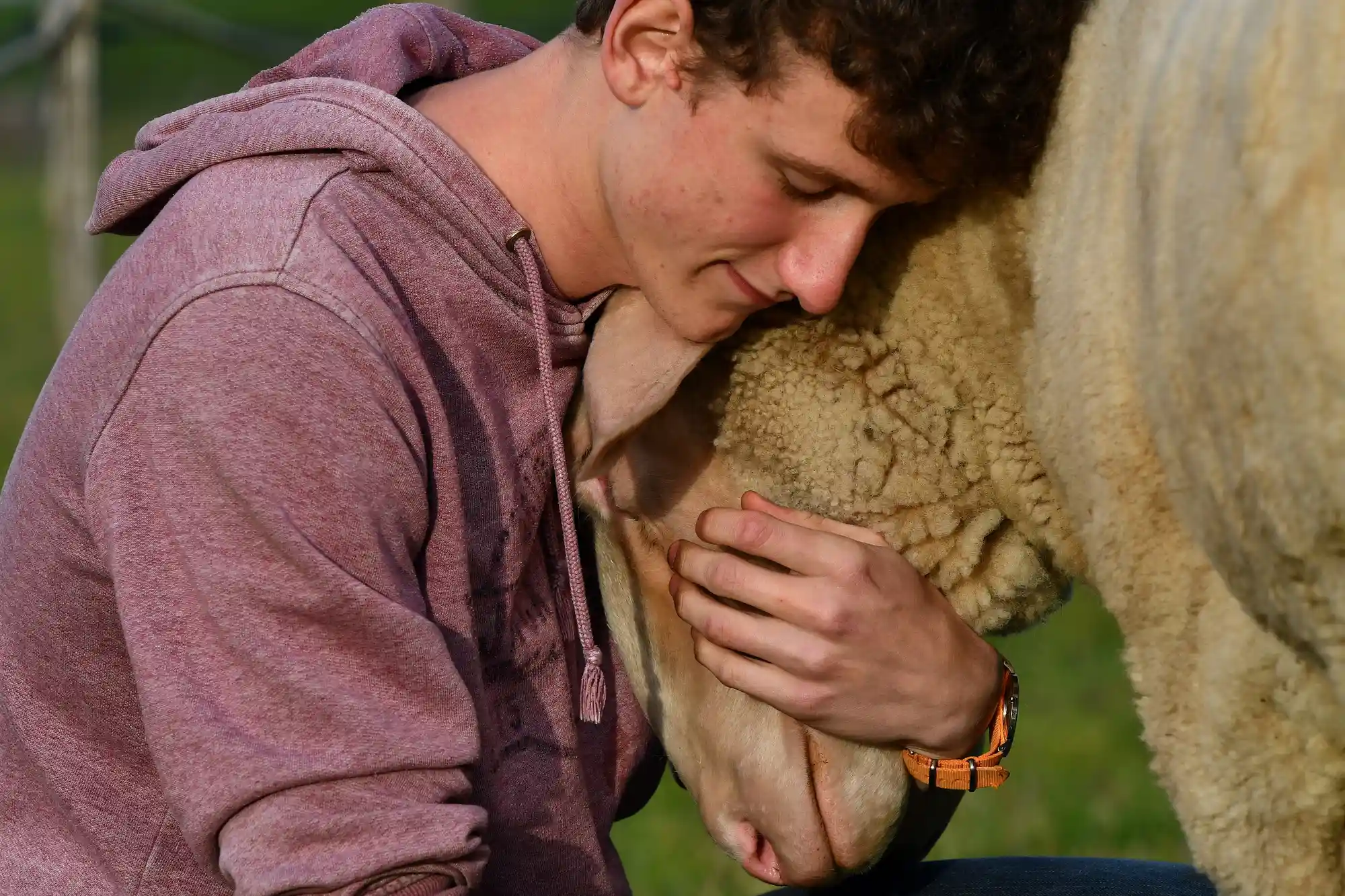 Auf Augenhöhe − Tierhaltung neu denken Bild 2