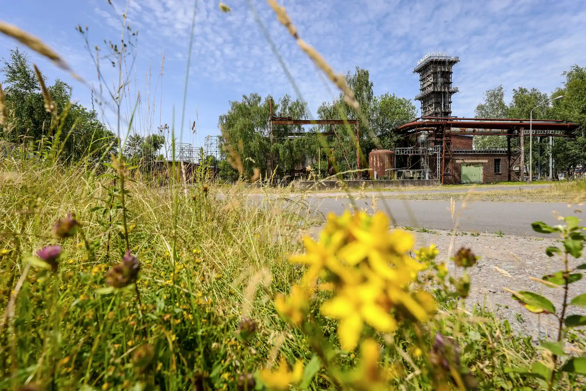 IGA 2027 – Industriekultur, Natur und Strukturwandel im Ruhrgebiet Bild 1