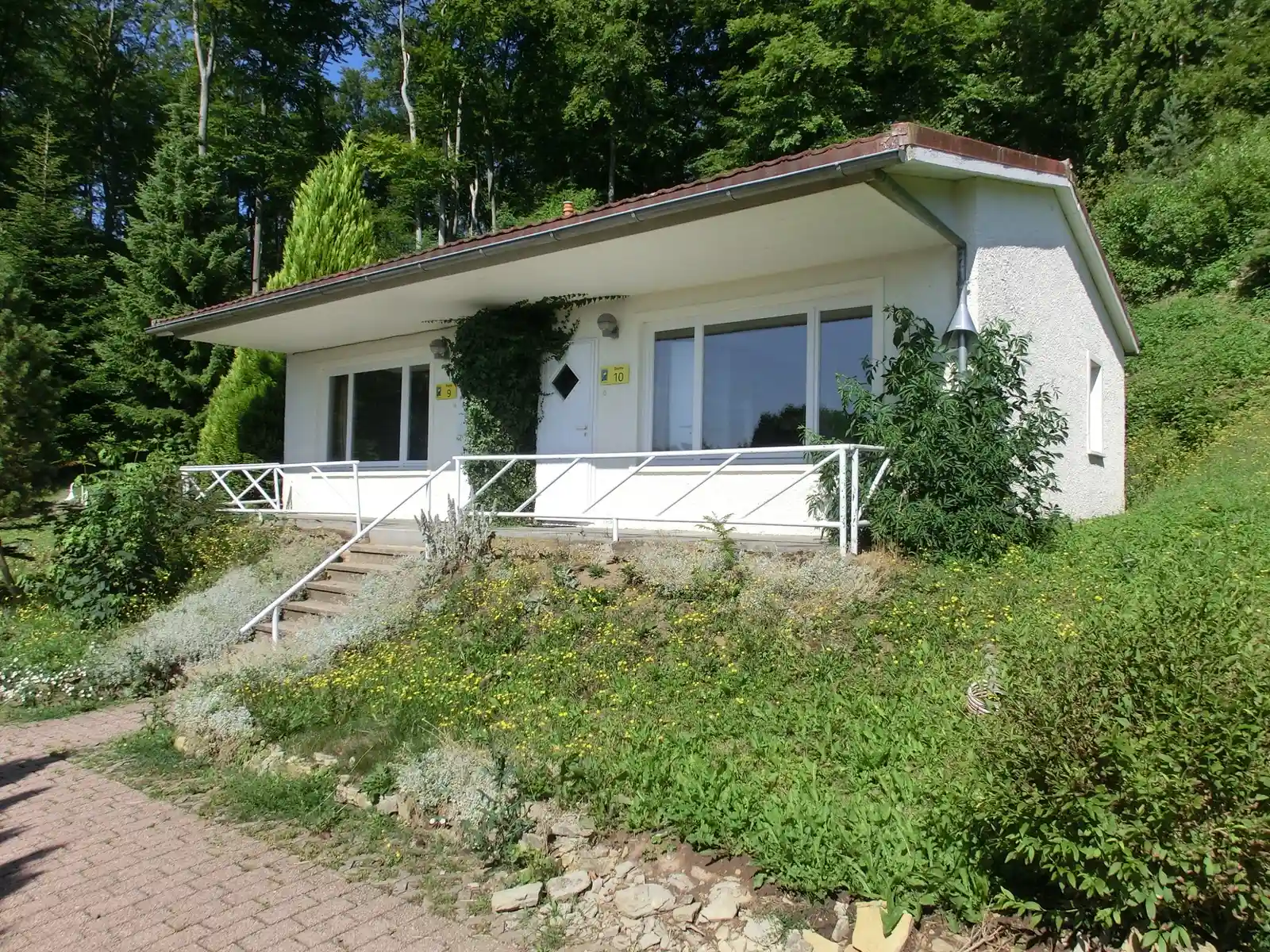 Stimme und Präsenz - ausdrucksstark im Beruf Bild 2