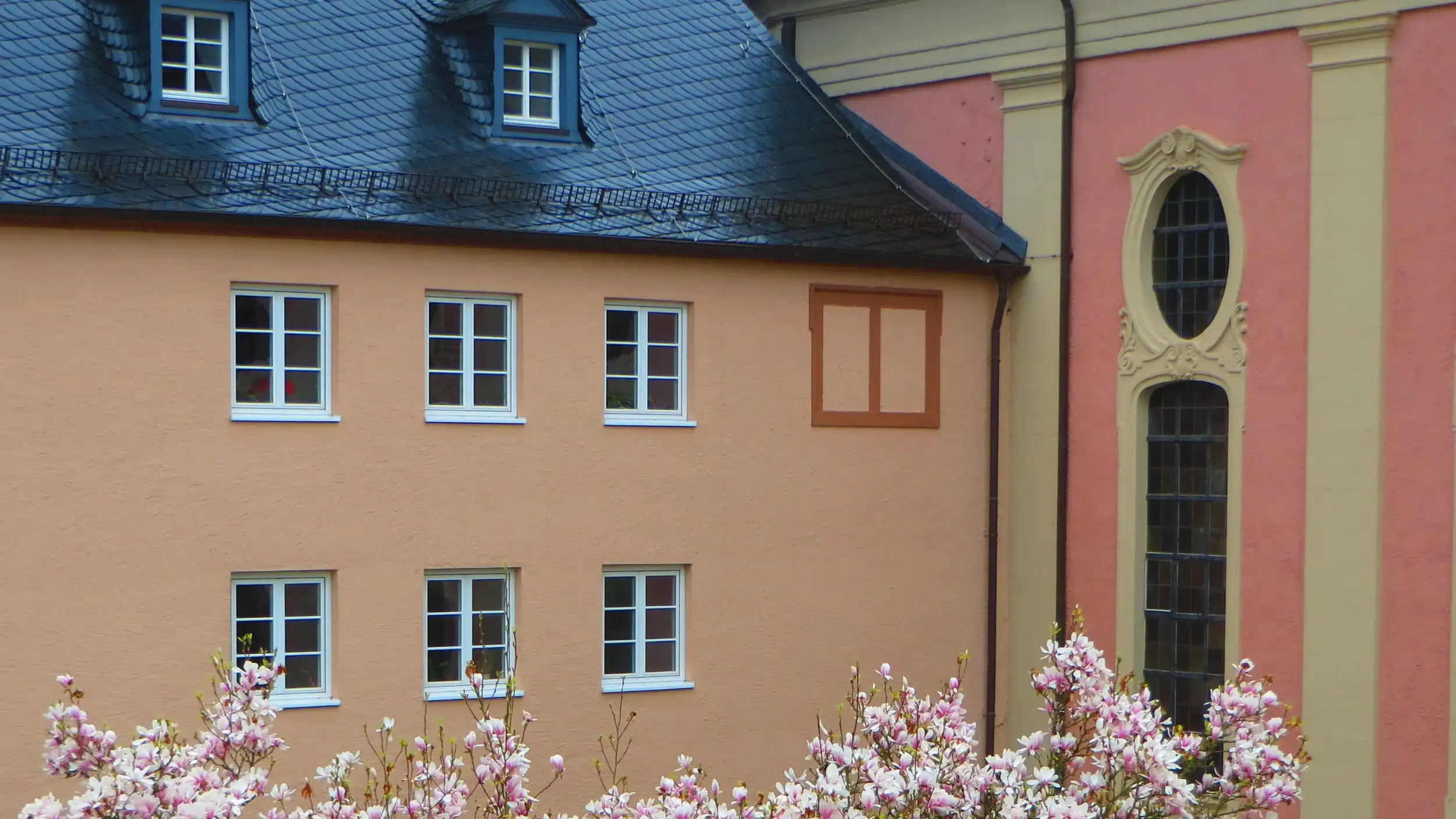 Gewaltfreie Kommunikation - Achtsamkeit und Selbstmanagement Bild 2