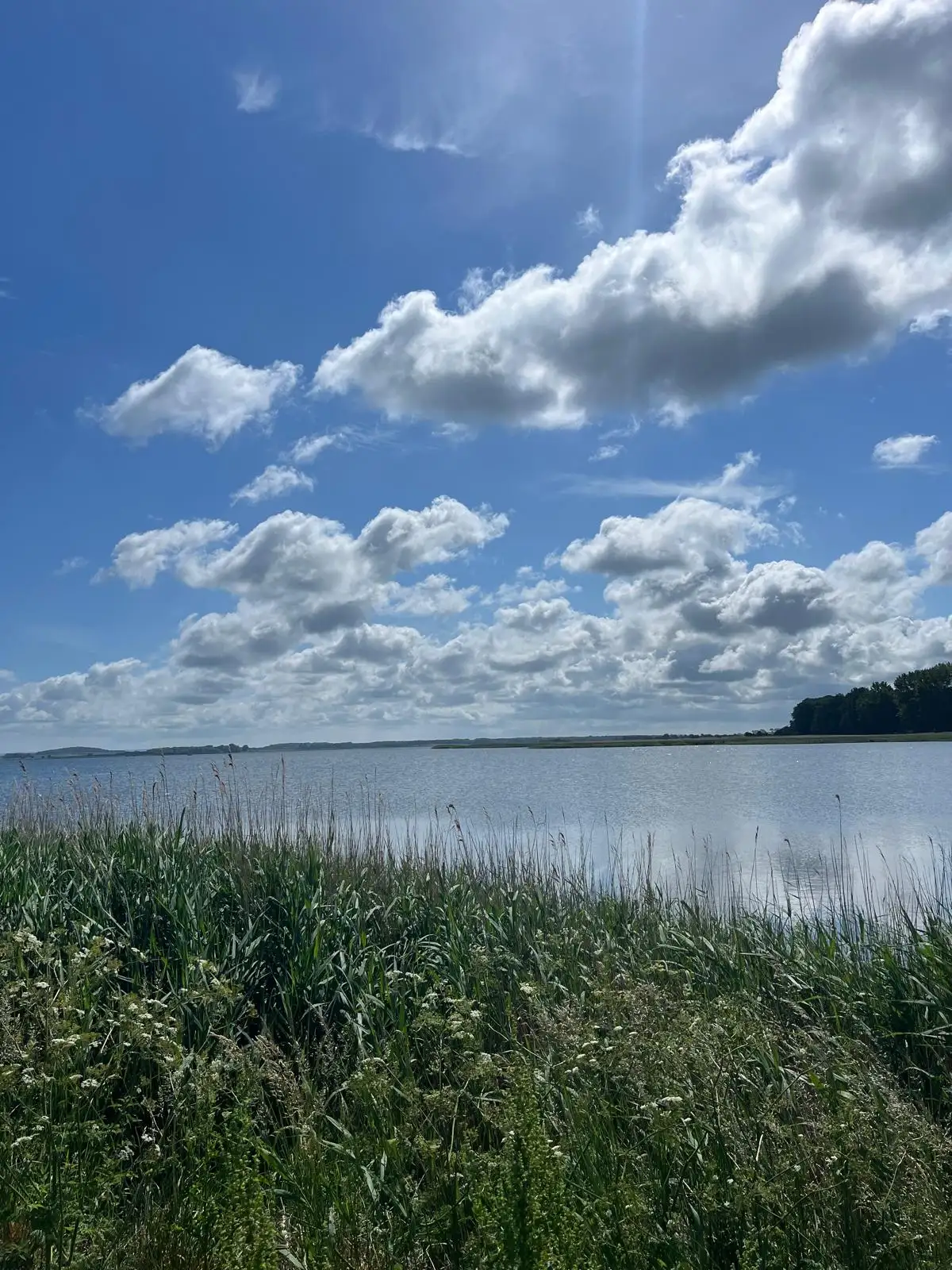 Basenfasten am Meer - Stress reduzieren und Immunsystem stärken Bild 2
