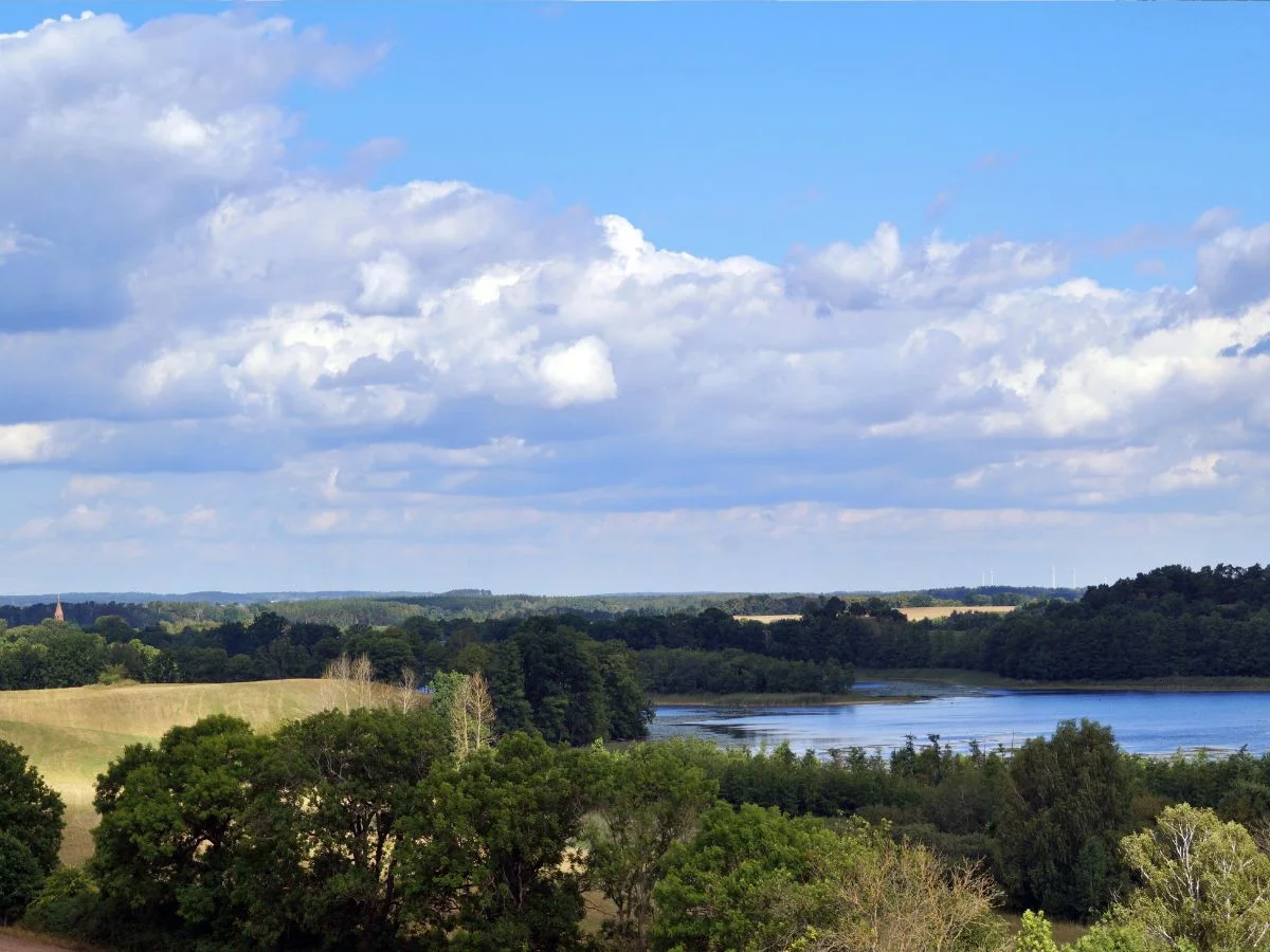 Schorfheide.  Diktaturgeschichte und historische Kulturlandschaft nordöstlich von Berlin. Bild 1