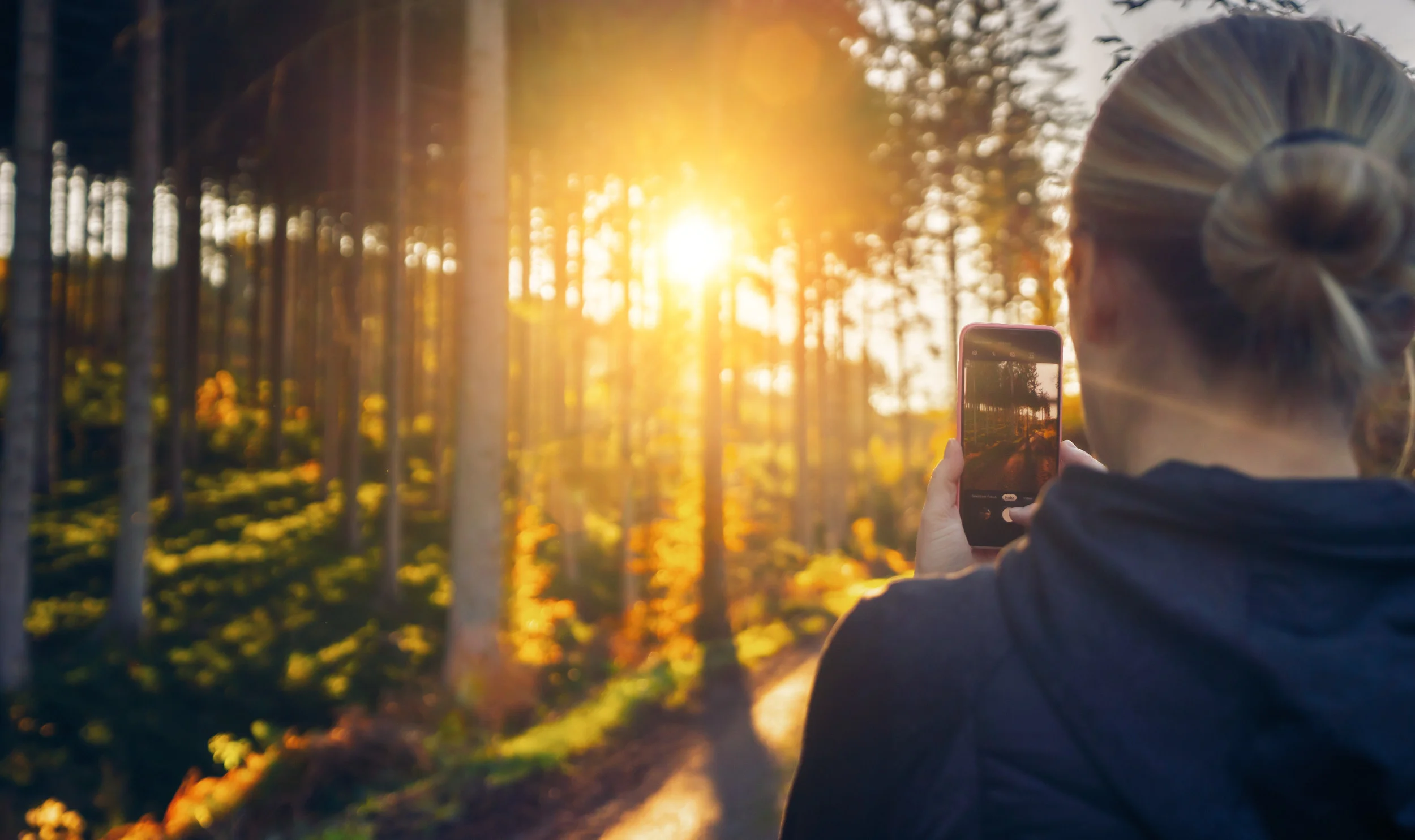 Bilder für die Seele - Meditative Fotografie als Ressource für Achtsamkeit und emotionale Balance sowie zur Stressbewältigung im beruflichen Kontext Bild 2