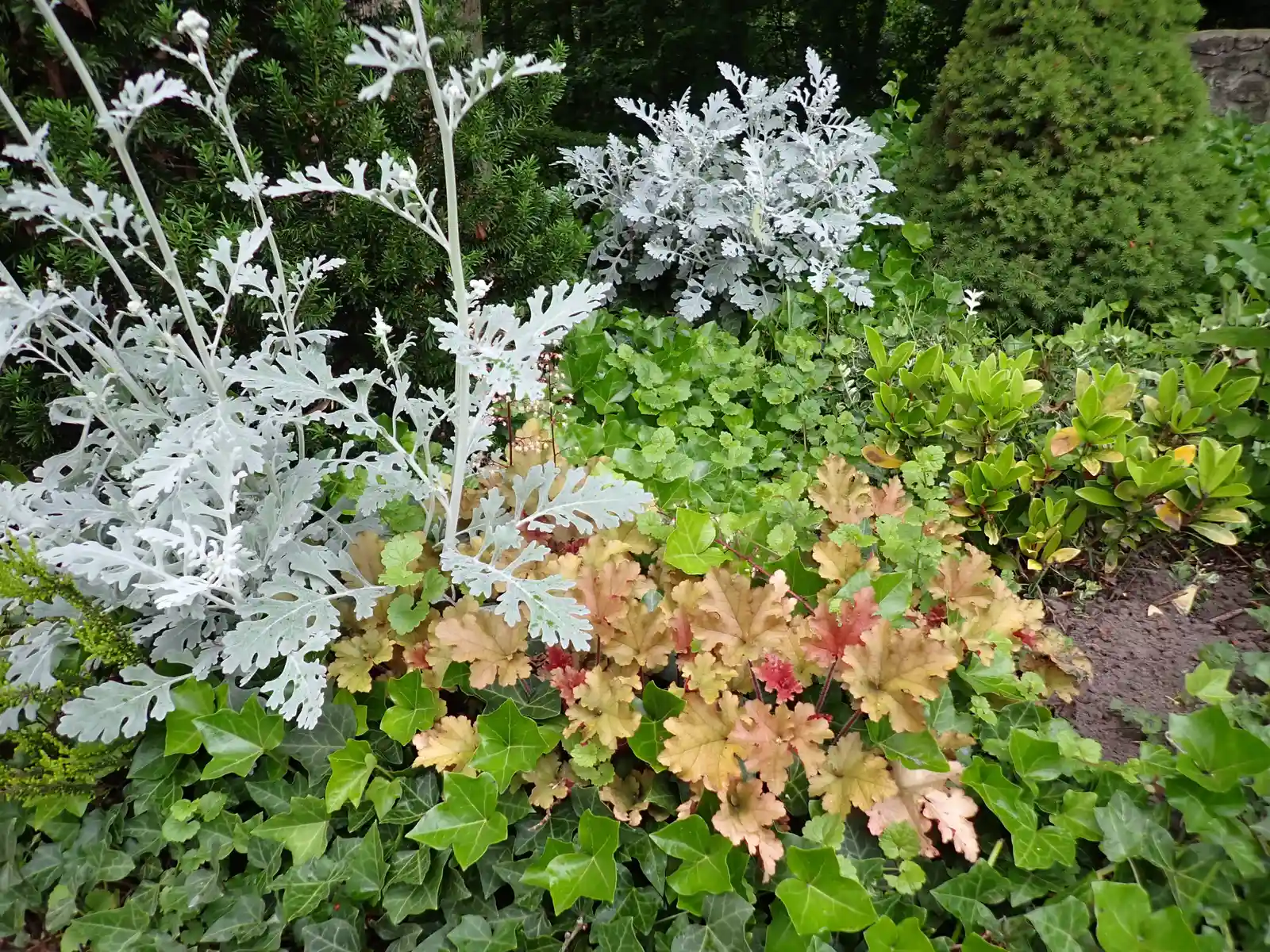 Altes Wissen neu entdecken: Salben, Cremes, Tinkturen und Öle selbst herstellen - im Kloster! Bild 1