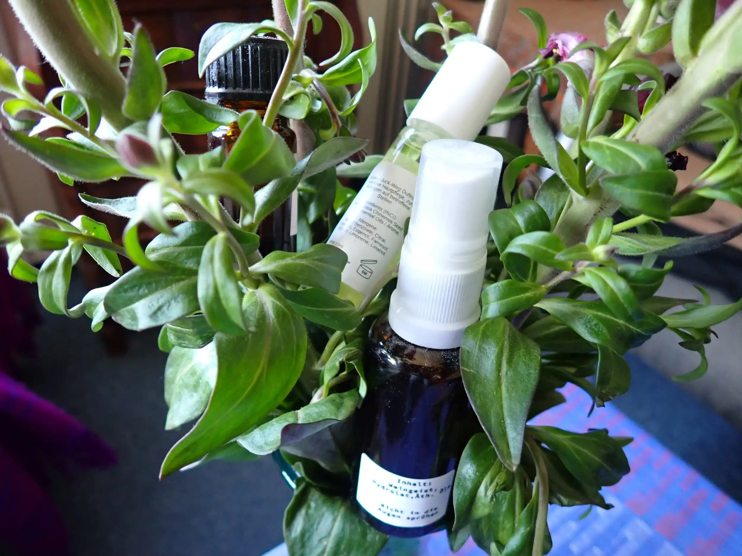 Aromatherapie: Natürlich gesund mit ätherischen Ölen Bild 1