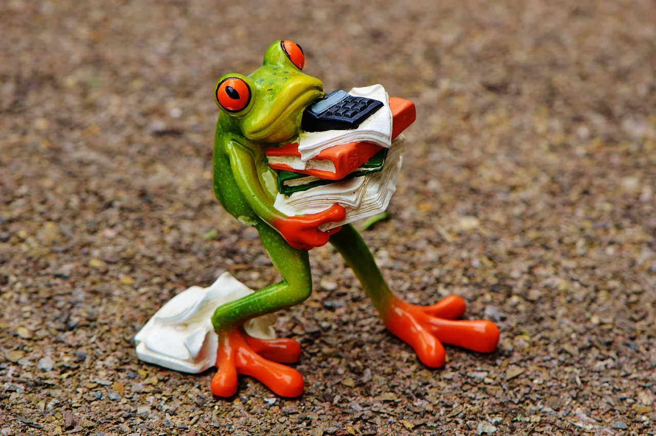 Gelassen im Stress - Stressbewältigung in Beruf und Alltag Bild 2