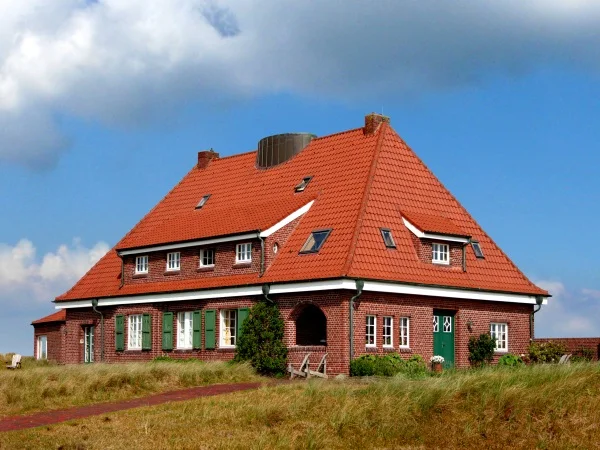 Ernährung, Bewegung, Achtsamkeit und Meer - Was uns wirklich nährt - Ganzheitliche Stressbewältigung Bild 1