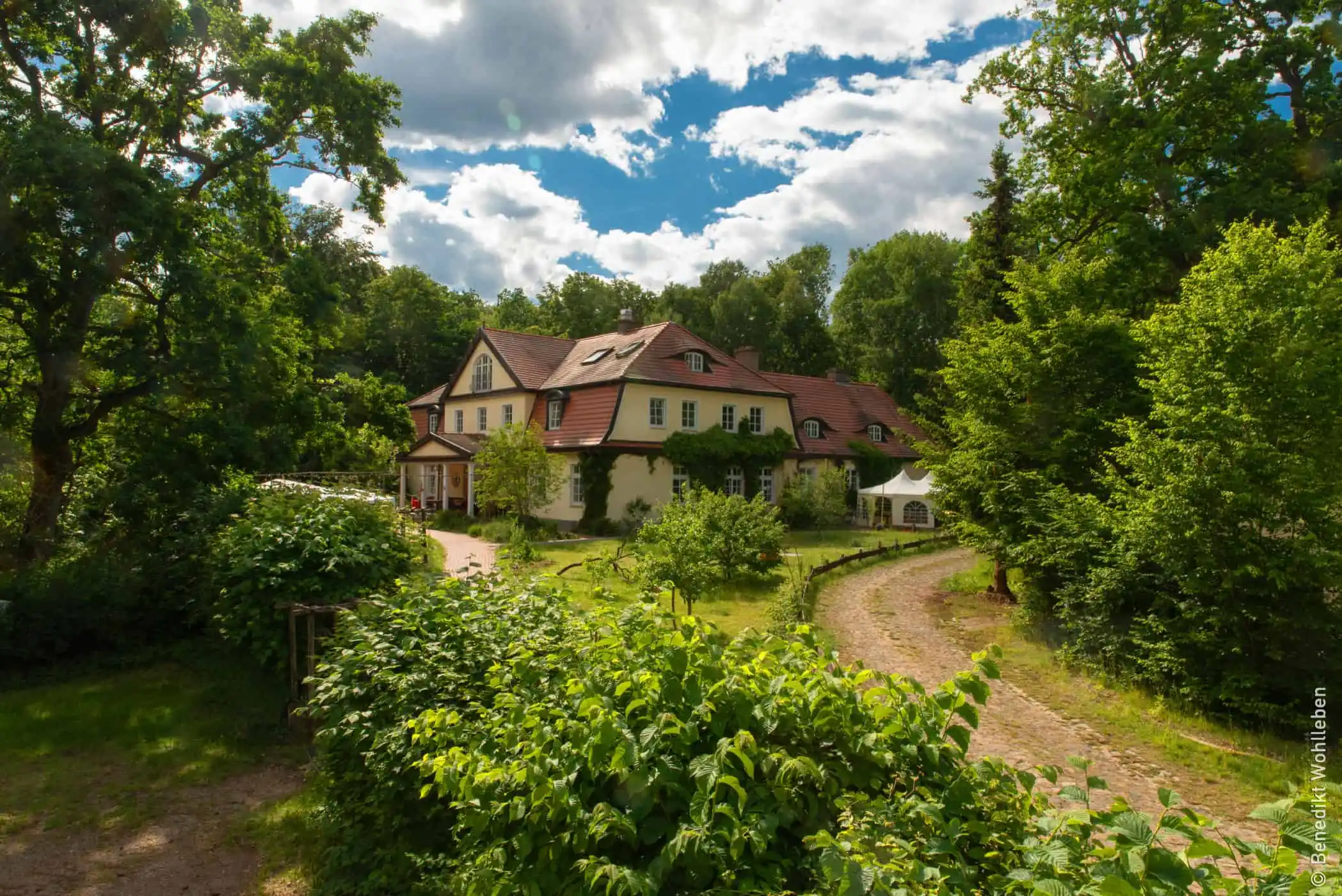 Fasten, Detox, Yoga, Wandern und Stressbewältigung in Theorie und Praxis im Seegut Blaue Blume, Feldberger Seenlandschaft Bild 1