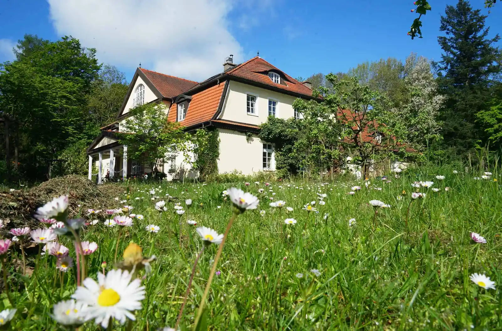 Fasten, Detox, Yoga, Wandern und Stressbewältigung in Theorie und Praxis im Seegut Blaue Blume, Feldberger Seenlandschaft Bild 2