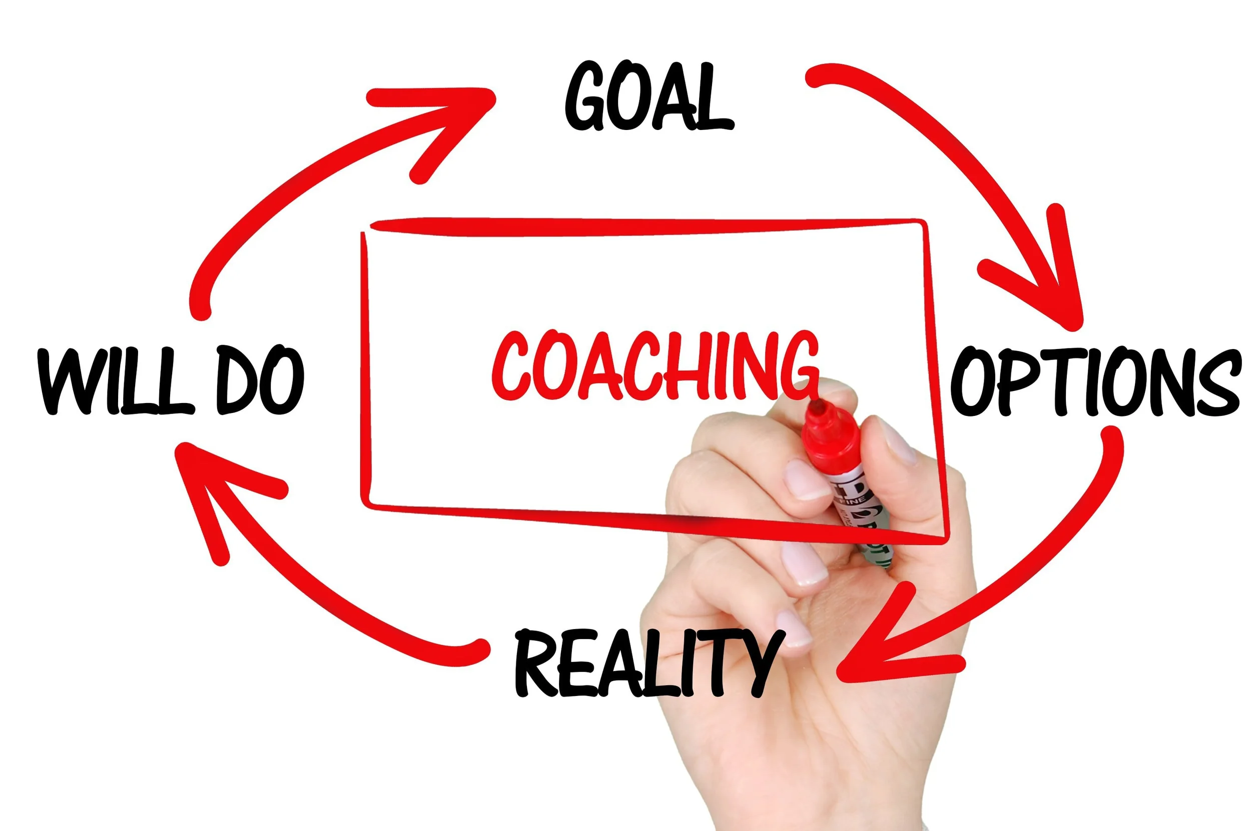 Mehr Führungskompetenz in Beruf & Ehrenamt durch Pferdegestütztes Coaching  Bild 2