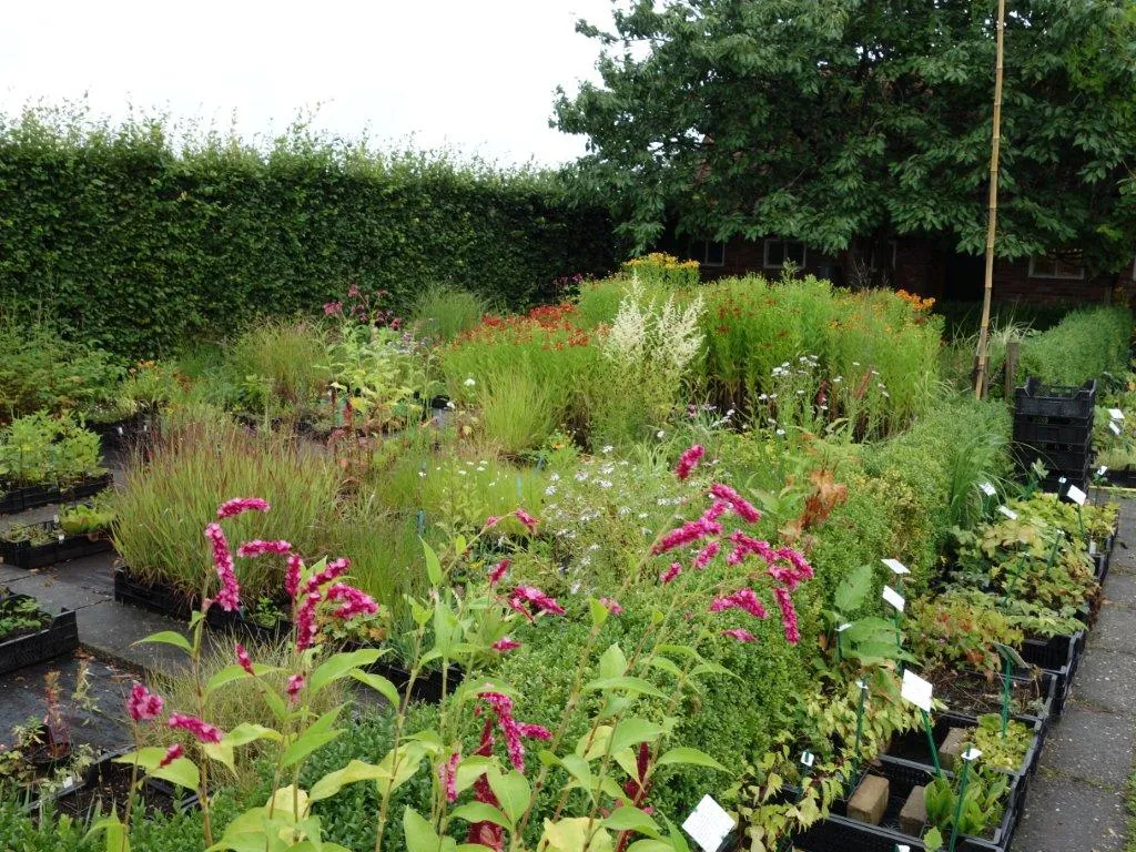 Ökologie und Nachhaltigkeit in der Gartenkultur Bild 1