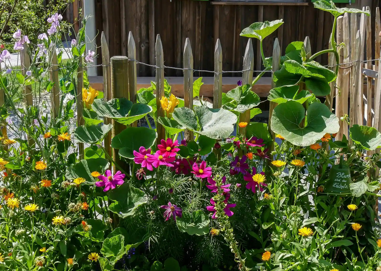 Ökologie und Nachhaltigkeit in der Gartenkultur Bild 2