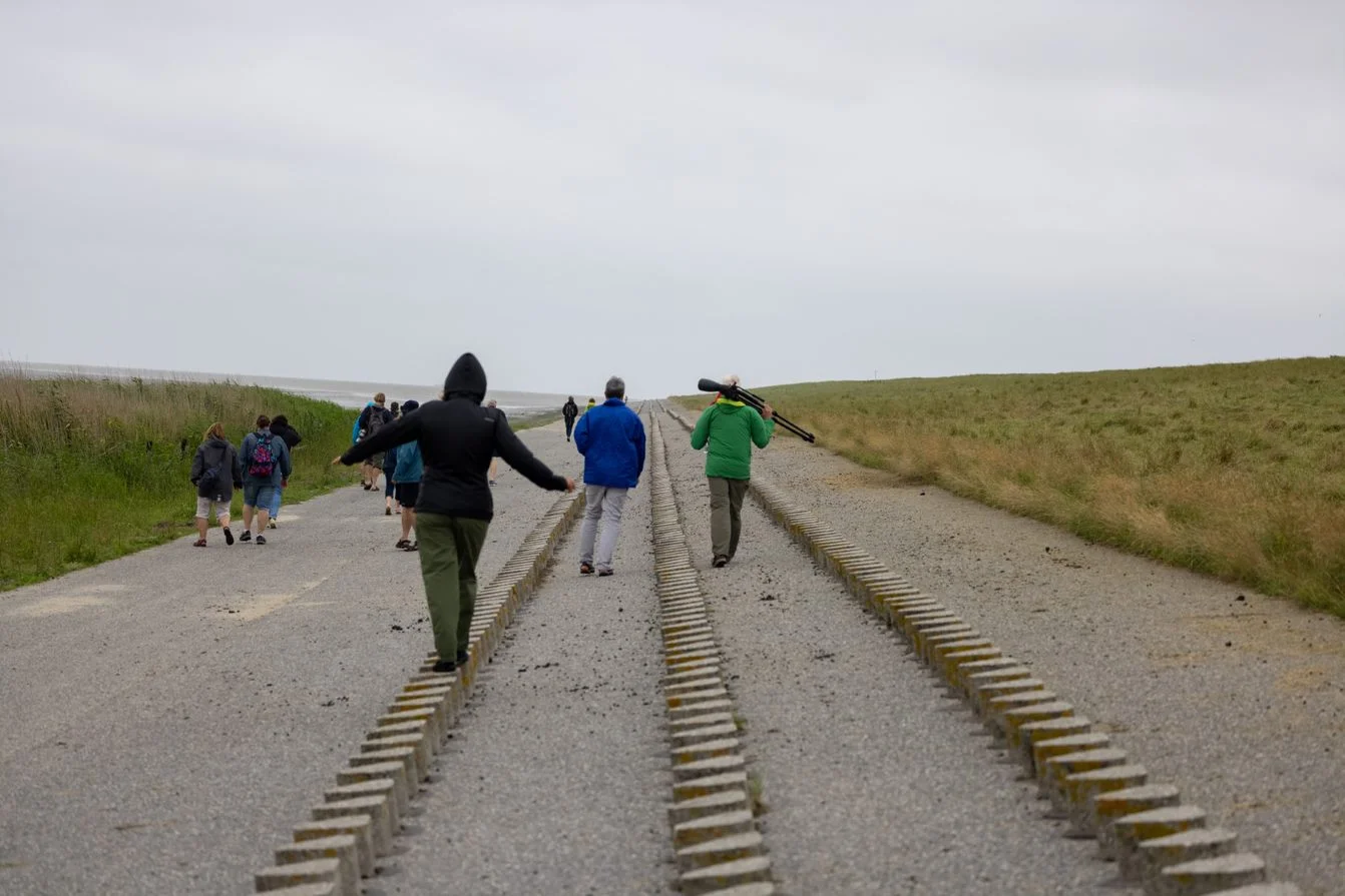 Weltnaturerbe Wattenmeer Bild 1